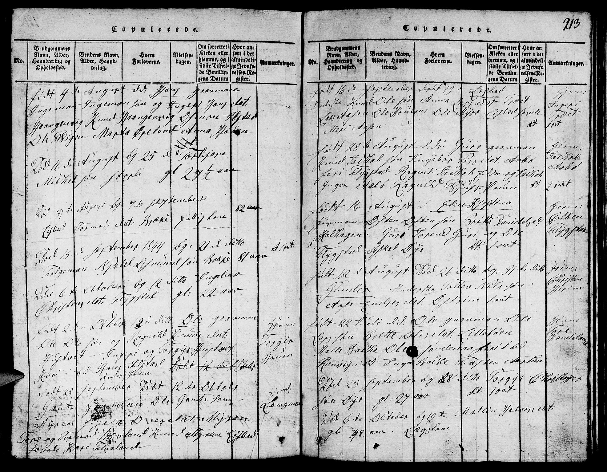 Suldal sokneprestkontor, SAST/A-101845/01/V/L0002: Parish register (copy) no. B 2, 1816-1845, p. 213