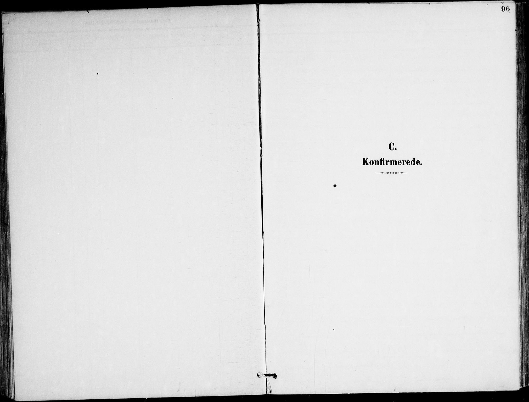 Ministerialprotokoller, klokkerbøker og fødselsregistre - Nordland, SAT/A-1459/895/L1372: Parish register (official) no. 895A07, 1894-1914, p. 96