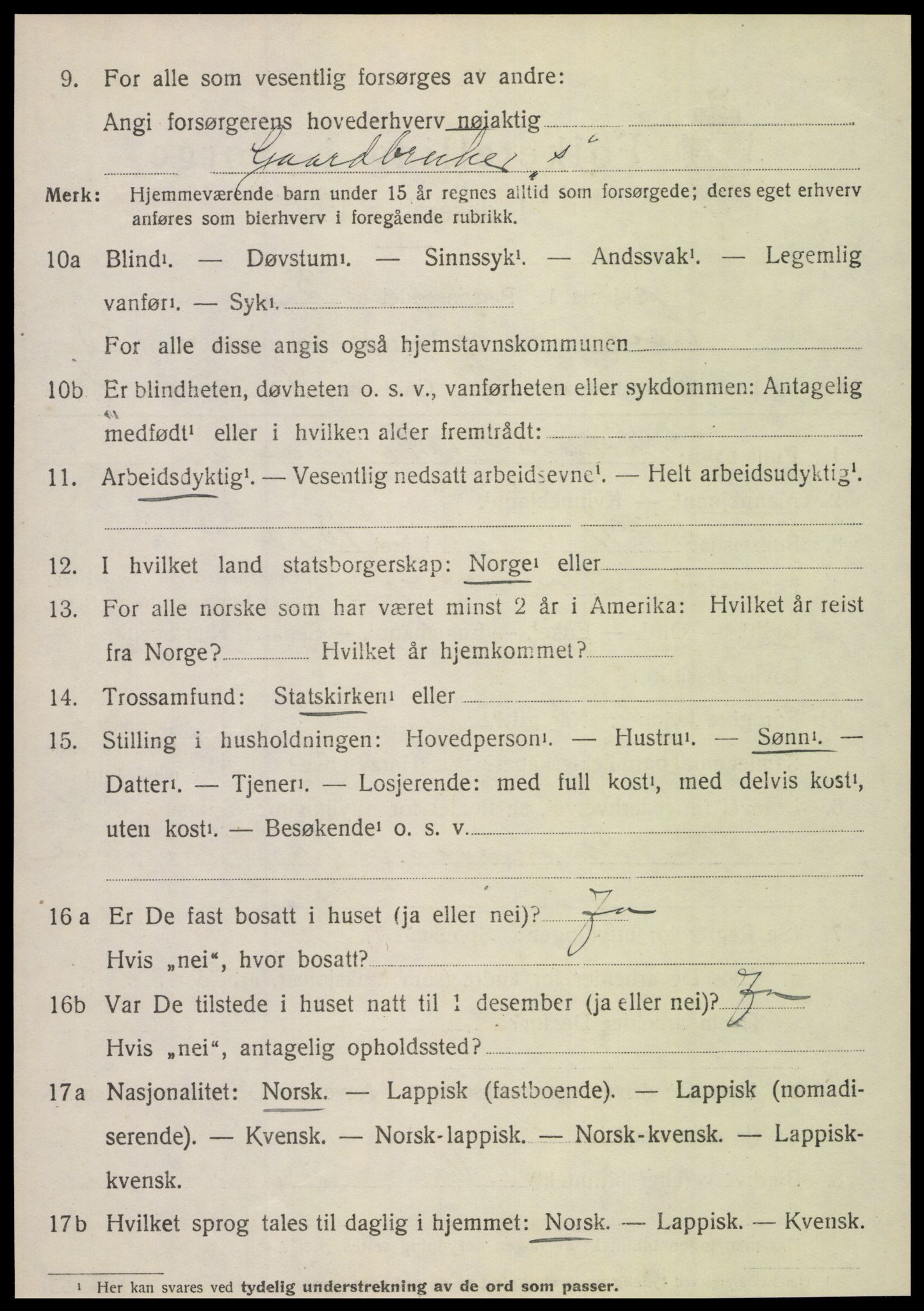 SAT, 1920 census for Hamarøy, 1920, p. 1823