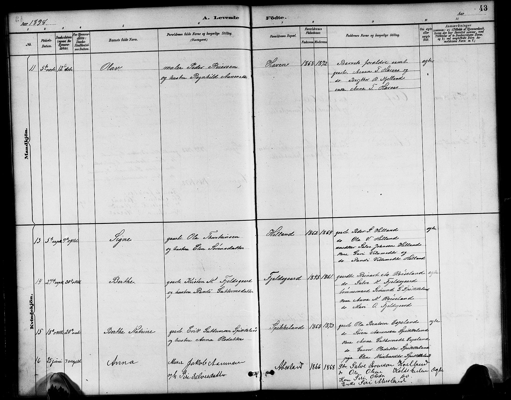 Bjelland sokneprestkontor, AV/SAK-1111-0005/F/Fb/Fbb/L0005: Parish register (copy) no. B 5, 1887-1918, p. 43