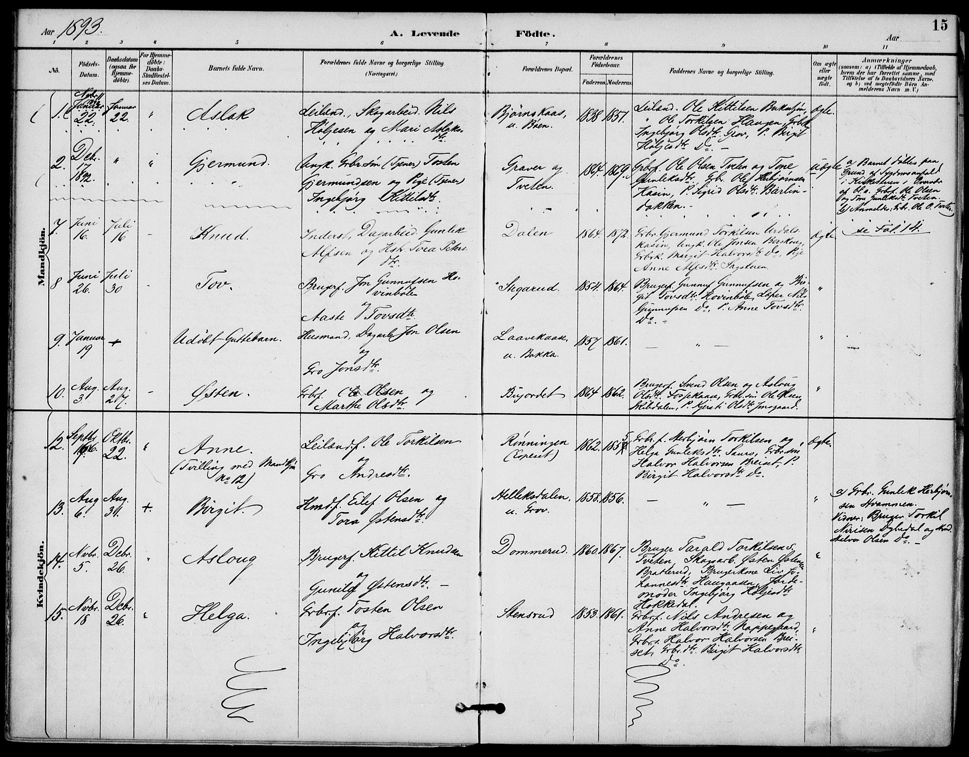 Gransherad kirkebøker, AV/SAKO-A-267/F/Fb/L0005: Parish register (official) no. II 5, 1887-1916, p. 15