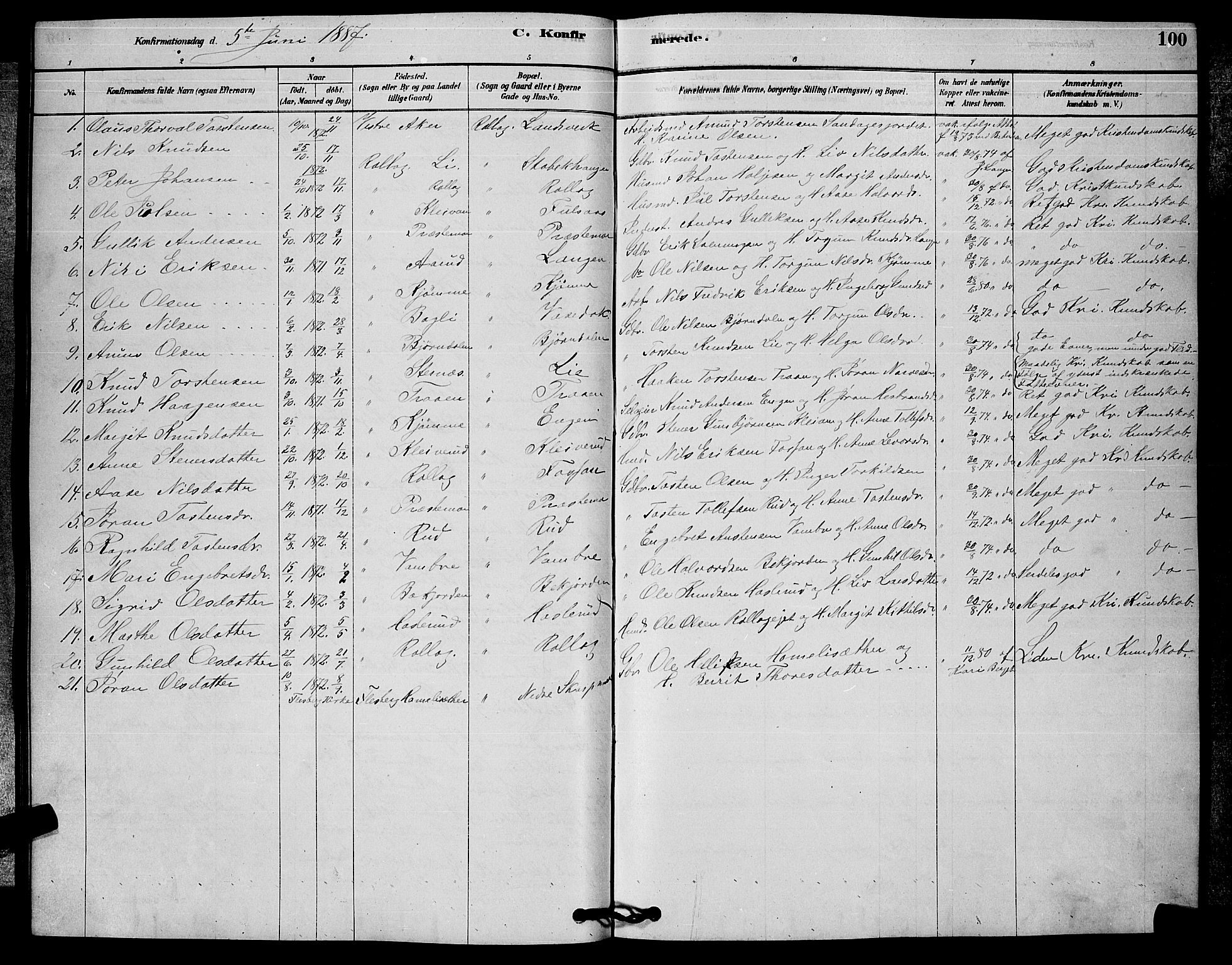 Rollag kirkebøker, SAKO/A-240/G/Ga/L0004: Parish register (copy) no. I 4, 1878-1903, p. 100
