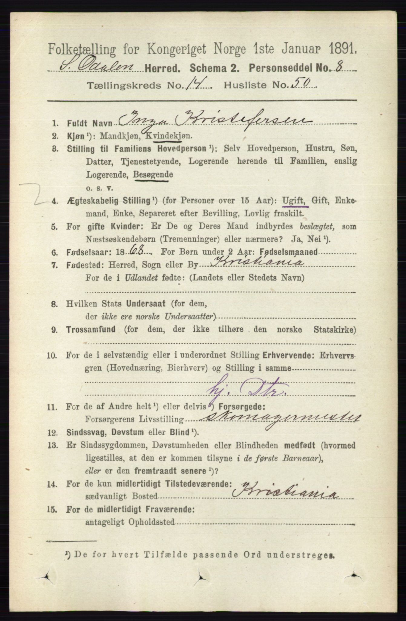 RA, 1891 census for 0419 Sør-Odal, 1891, p. 6355