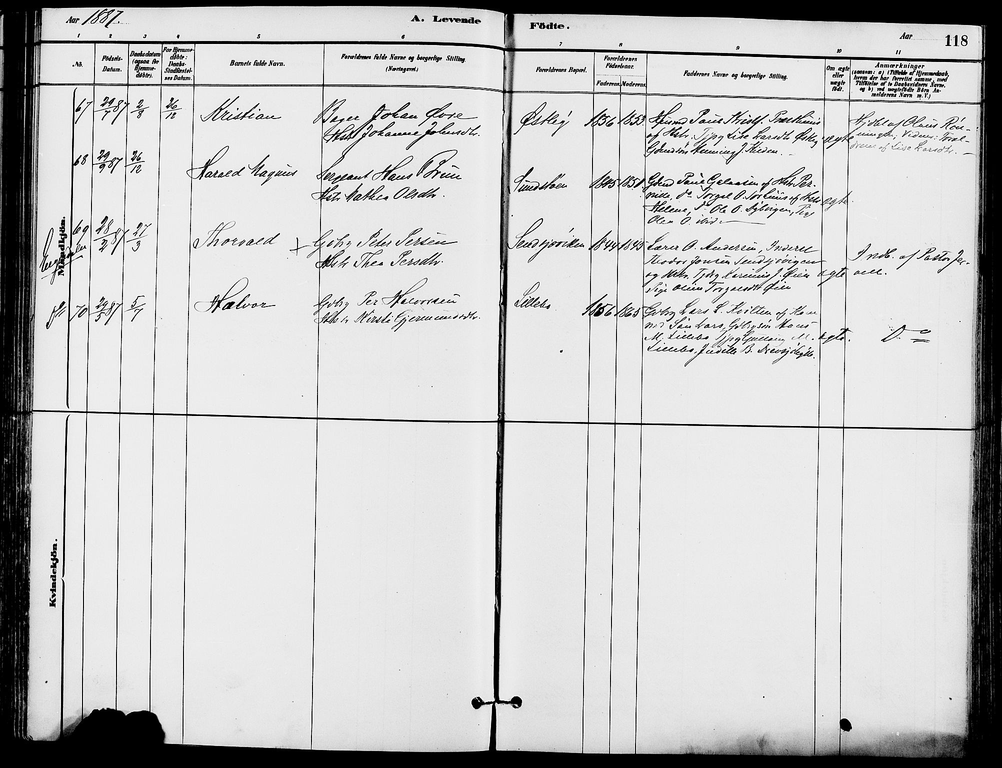 Trysil prestekontor, SAH/PREST-046/H/Ha/Haa/L0008: Parish register (official) no. 8, 1881-1897, p. 118