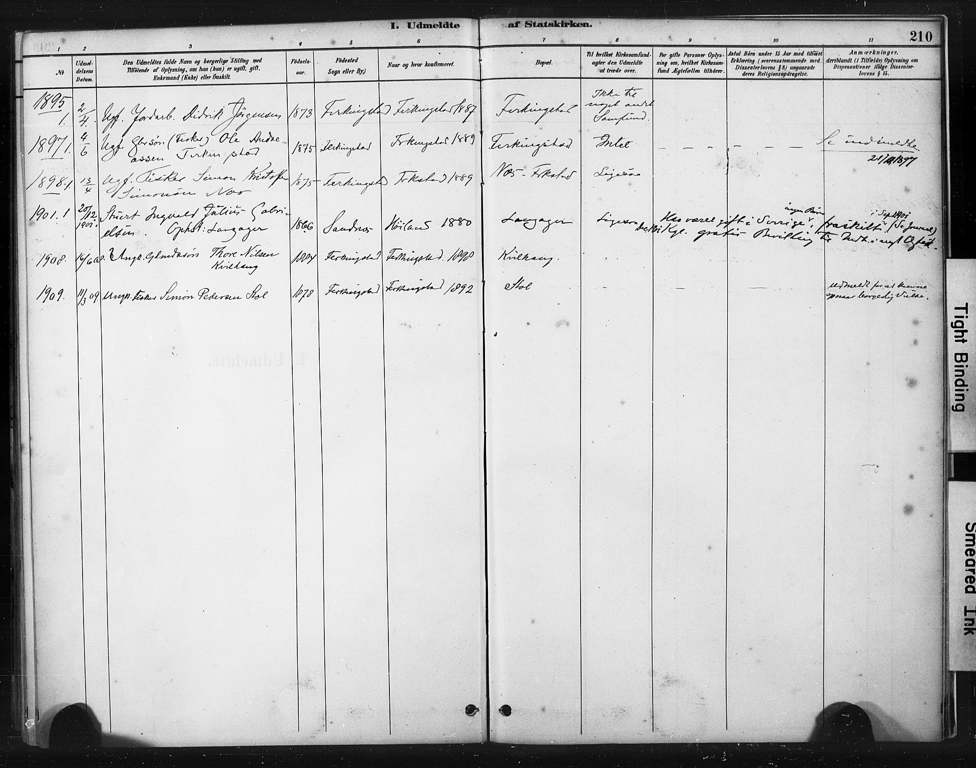 Skudenes sokneprestkontor, SAST/A -101849/H/Ha/Haa/L0010: Parish register (official) no. A 7, 1882-1912, p. 210