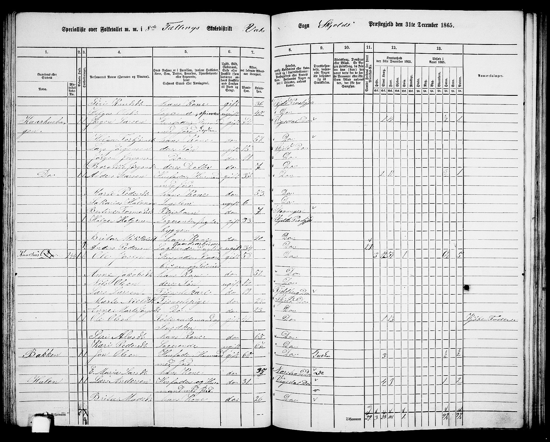 RA, 1865 census for Skjold, 1865, p. 121