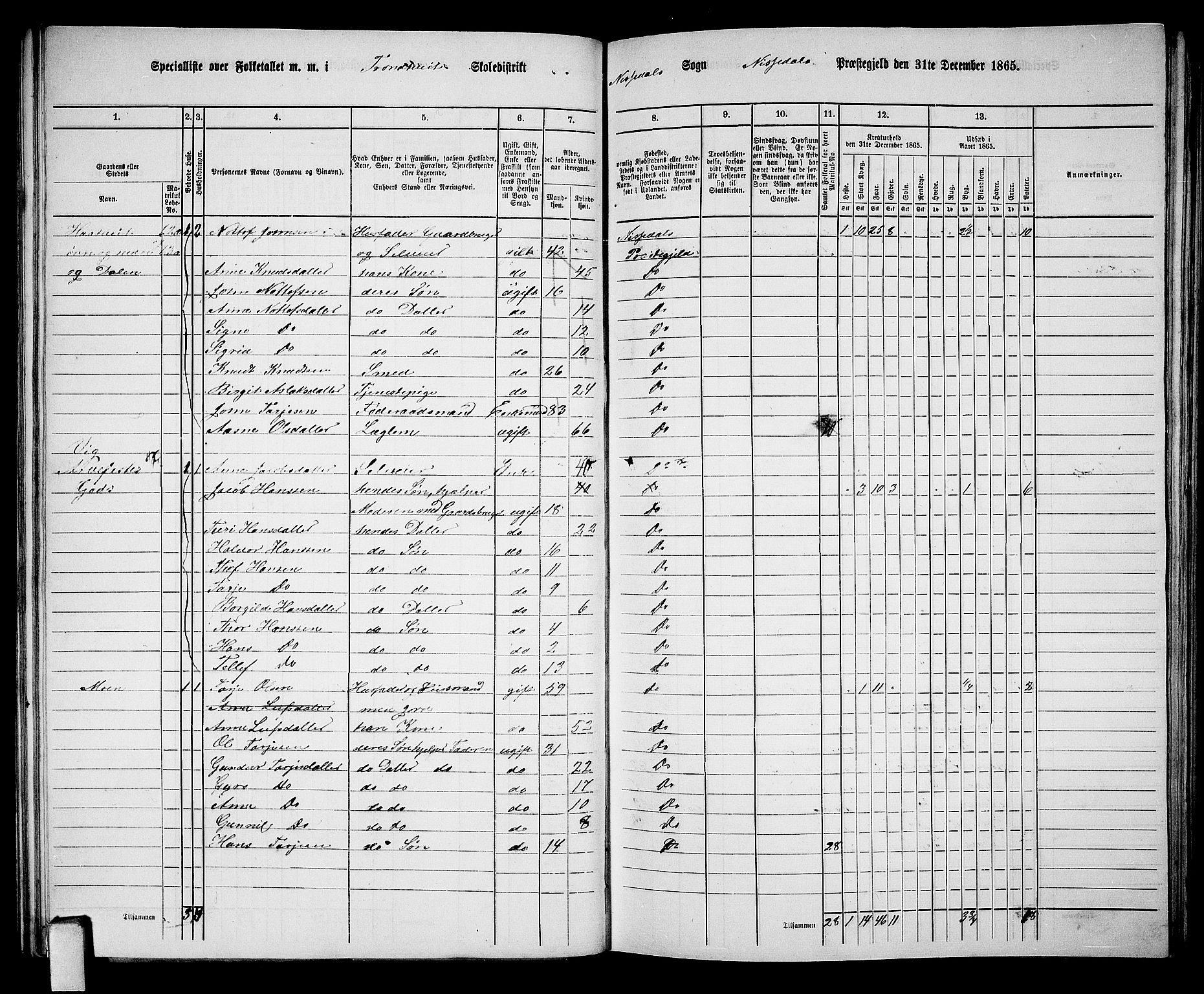 RA, 1865 census for Nissedal, 1865, p. 55