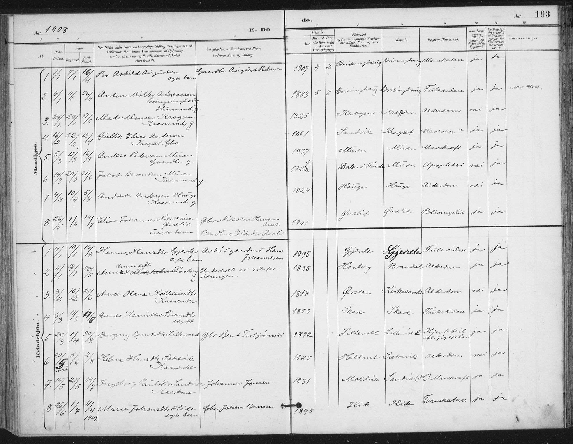 Ministerialprotokoller, klokkerbøker og fødselsregistre - Møre og Romsdal, AV/SAT-A-1454/503/L0038: Parish register (official) no. 503A06, 1901-1917, p. 193