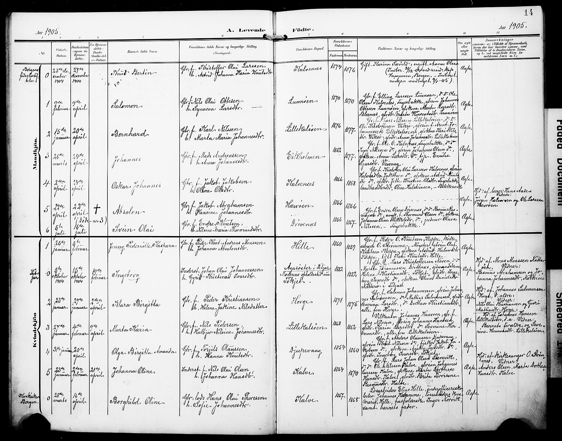 Austevoll Sokneprestembete, SAB/A-74201/H/Hab: Parish register (copy) no. B 5, 1902-1910, p. 14