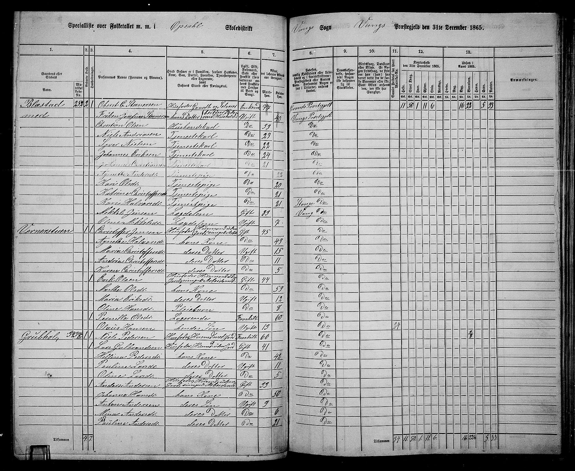 RA, 1865 census for Vang/Vang og Furnes, 1865, p. 258