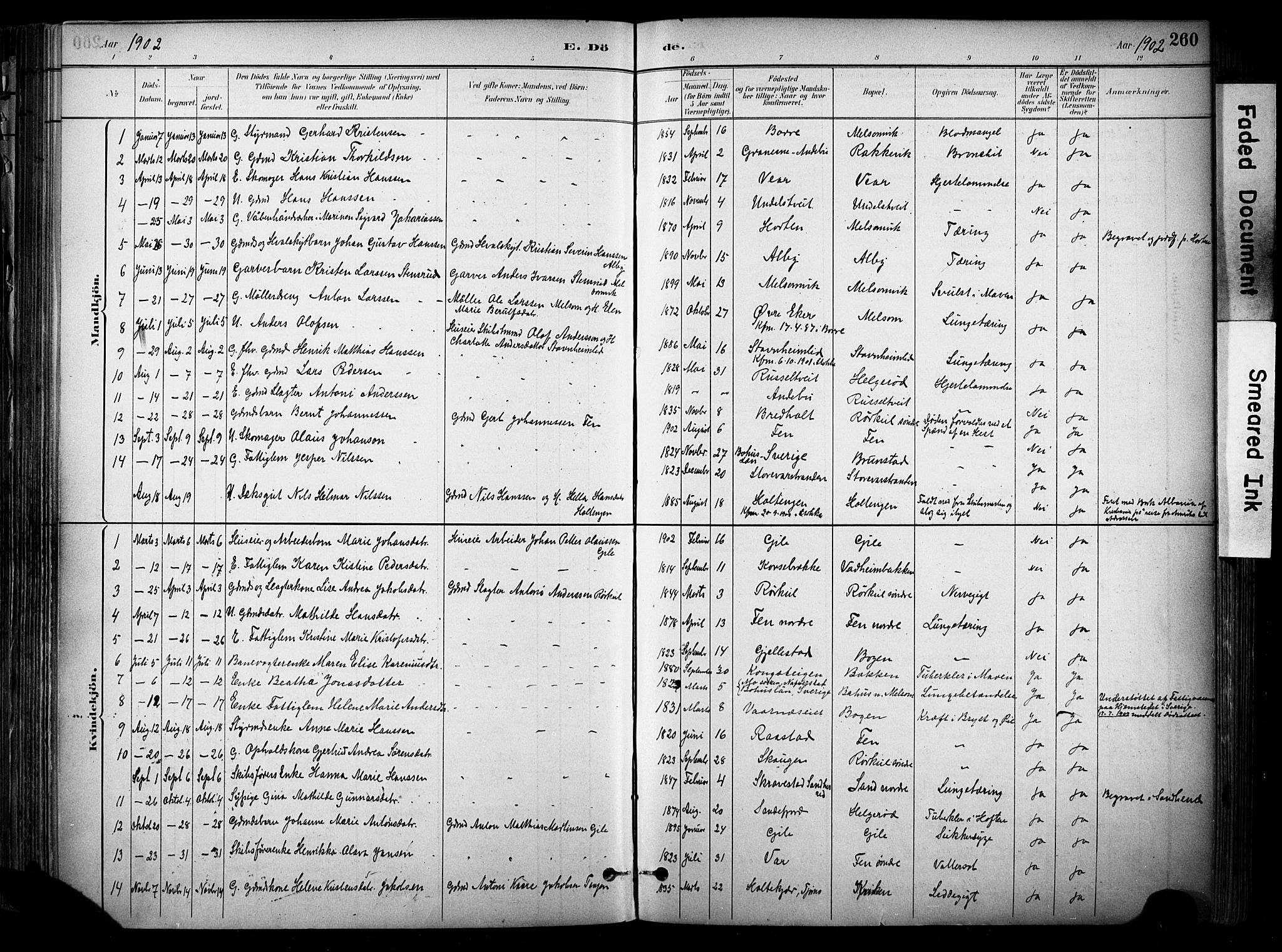 Stokke kirkebøker, SAKO/A-320/F/Fa/L0010: Parish register (official) no. I 10, 1884-1903, p. 260