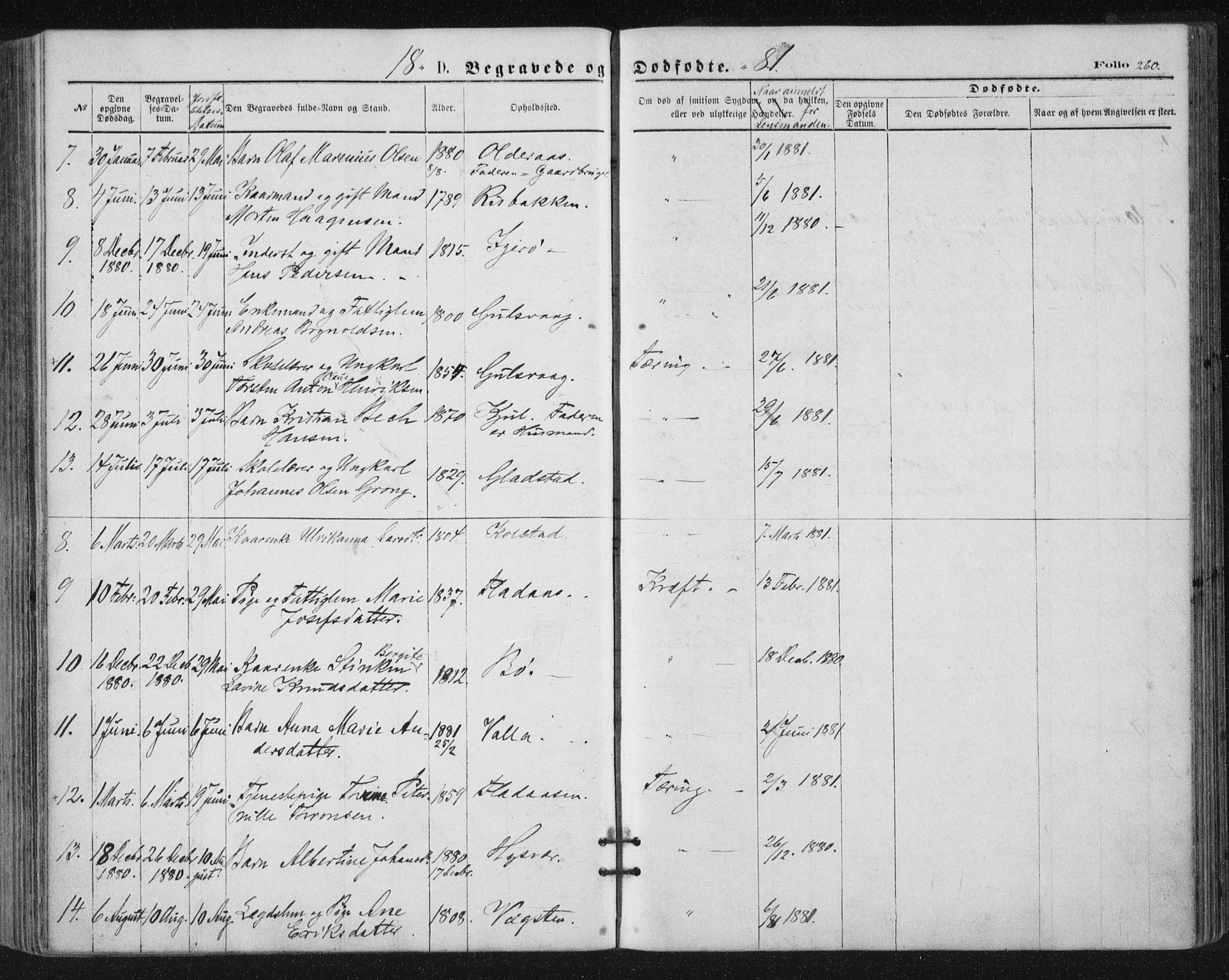 Ministerialprotokoller, klokkerbøker og fødselsregistre - Nordland, SAT/A-1459/816/L0241: Parish register (official) no. 816A07, 1870-1885, p. 260
