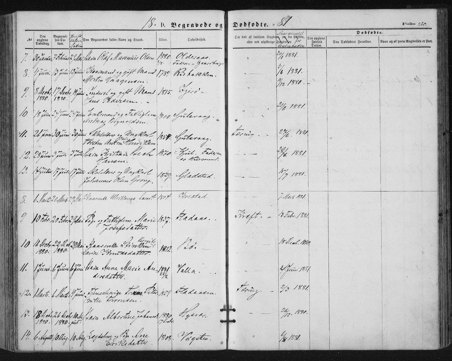 Ministerialprotokoller, klokkerbøker og fødselsregistre - Nordland, AV/SAT-A-1459/816/L0241: Parish register (official) no. 816A07, 1870-1885, p. 260