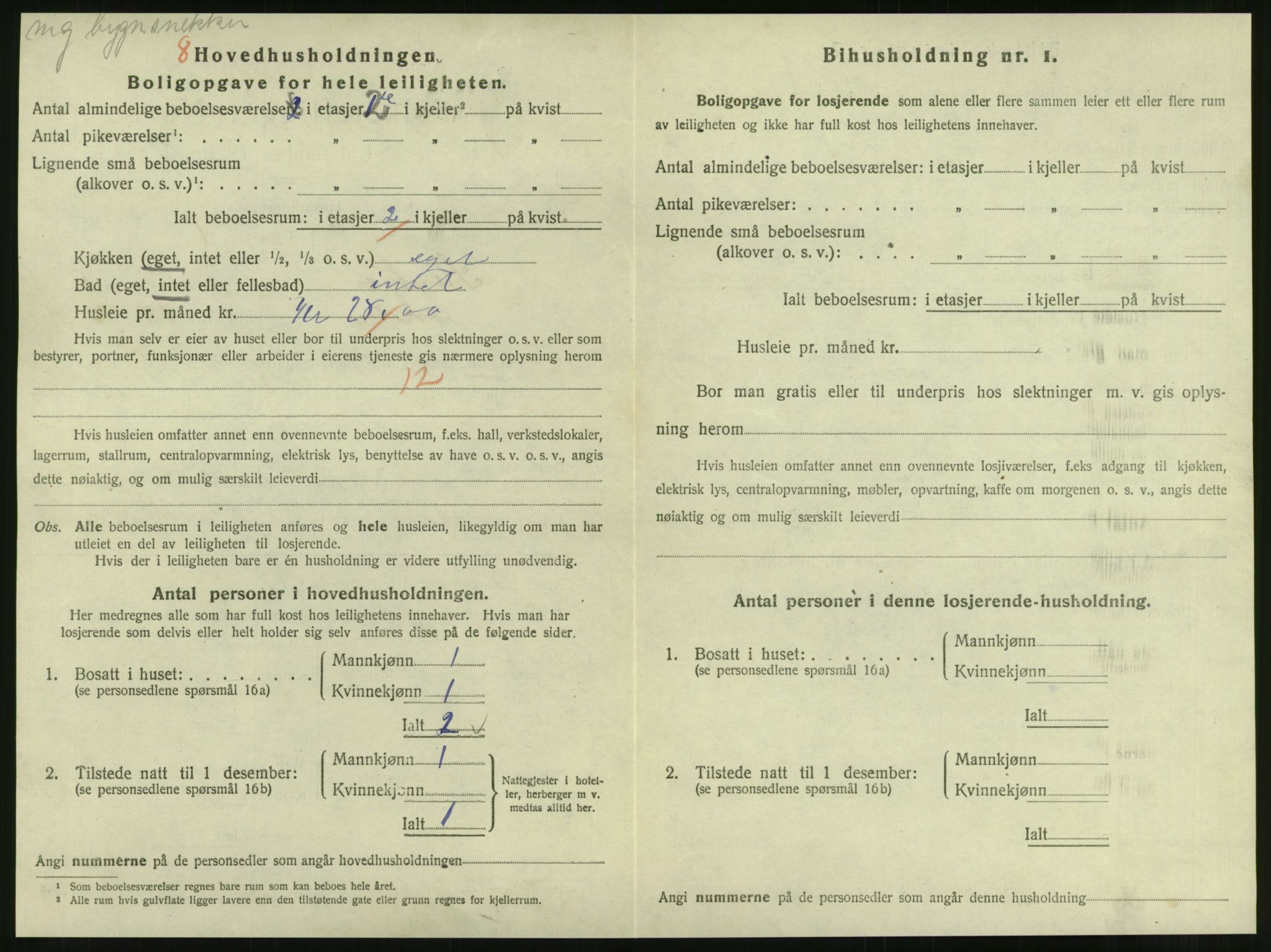 SAT, 1920 census for Steinkjer, 1920, p. 1259