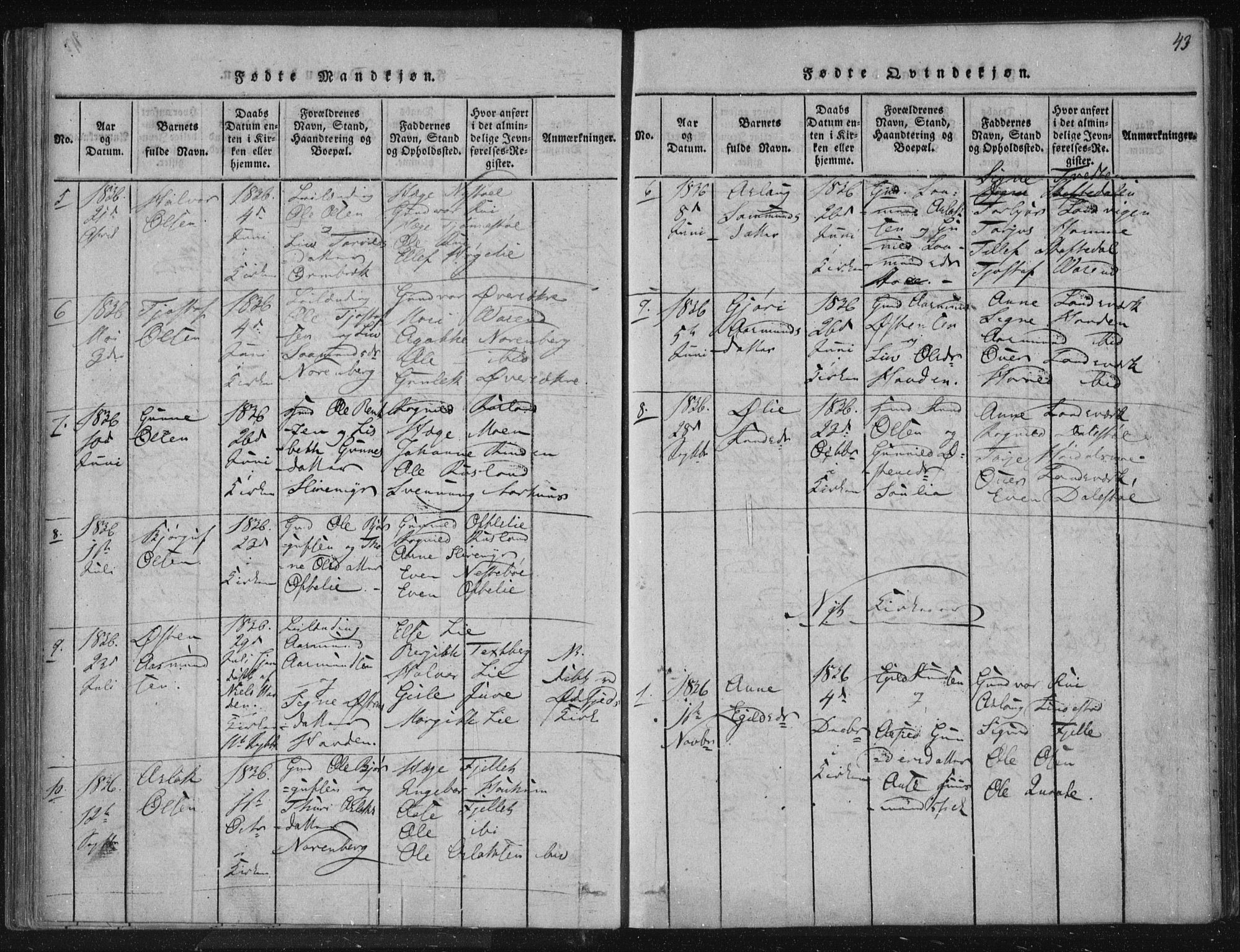 Lårdal kirkebøker, SAKO/A-284/F/Fc/L0001: Parish register (official) no. III 1, 1815-1860, p. 43