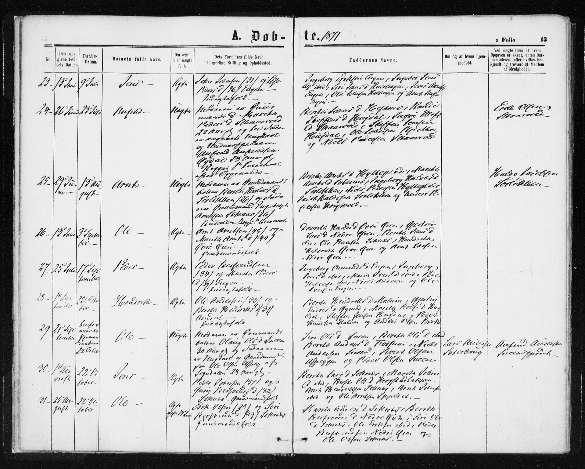 Ministerialprotokoller, klokkerbøker og fødselsregistre - Sør-Trøndelag, SAT/A-1456/687/L1001: Parish register (official) no. 687A07, 1863-1878, p. 13