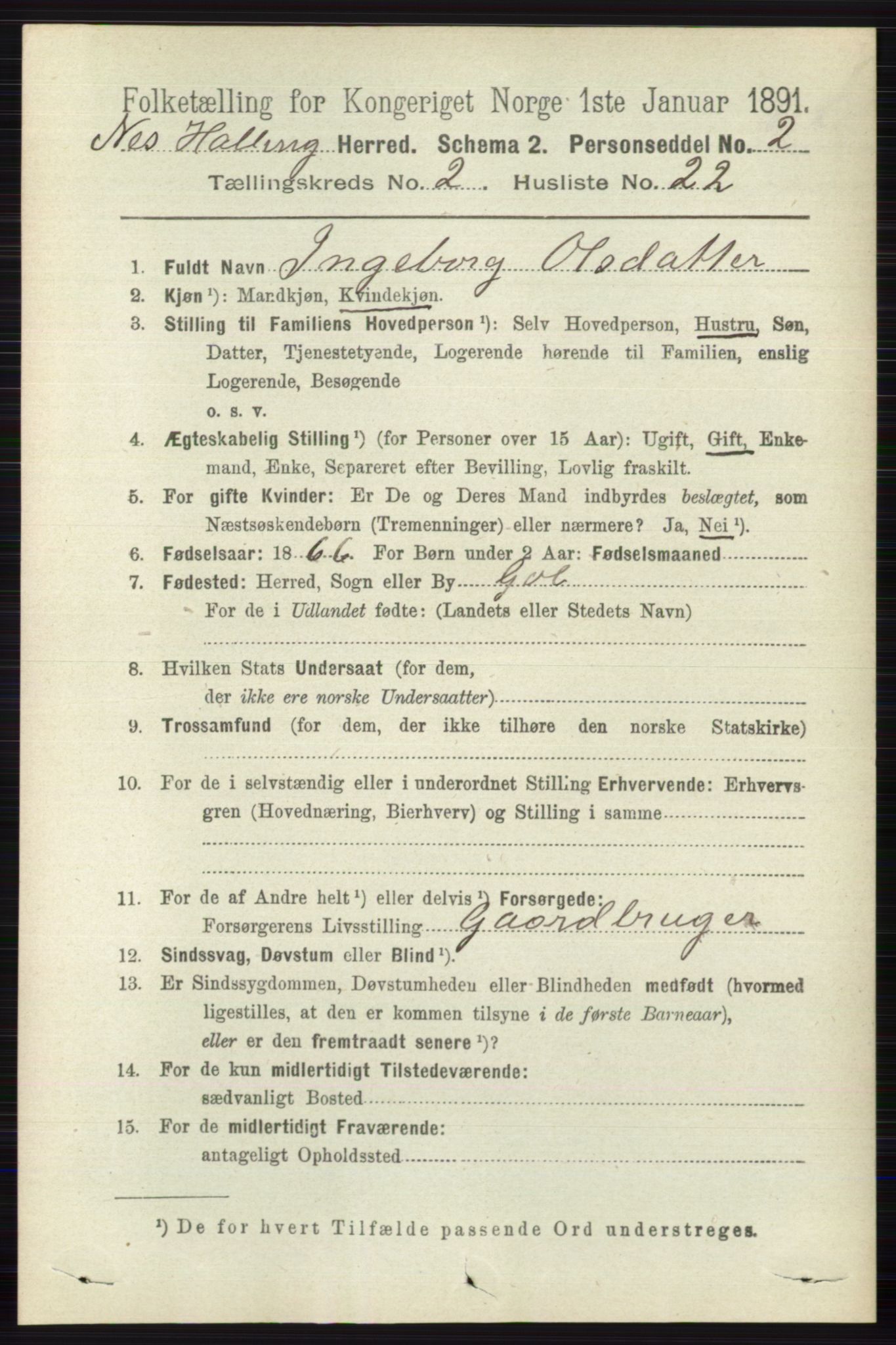 RA, 1891 census for 0616 Nes, 1891, p. 1101