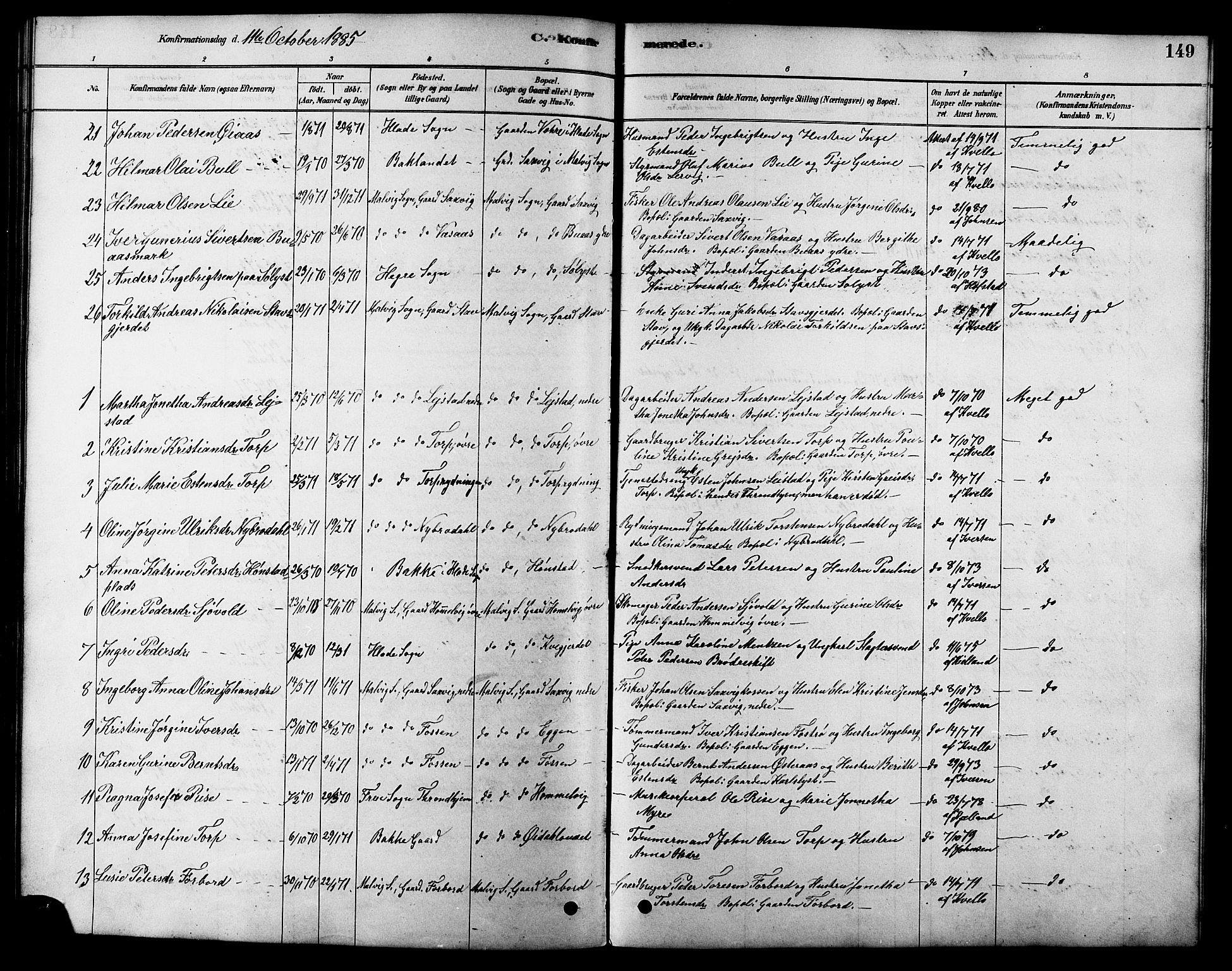 Ministerialprotokoller, klokkerbøker og fødselsregistre - Sør-Trøndelag, SAT/A-1456/616/L0423: Parish register (copy) no. 616C06, 1878-1903, p. 149