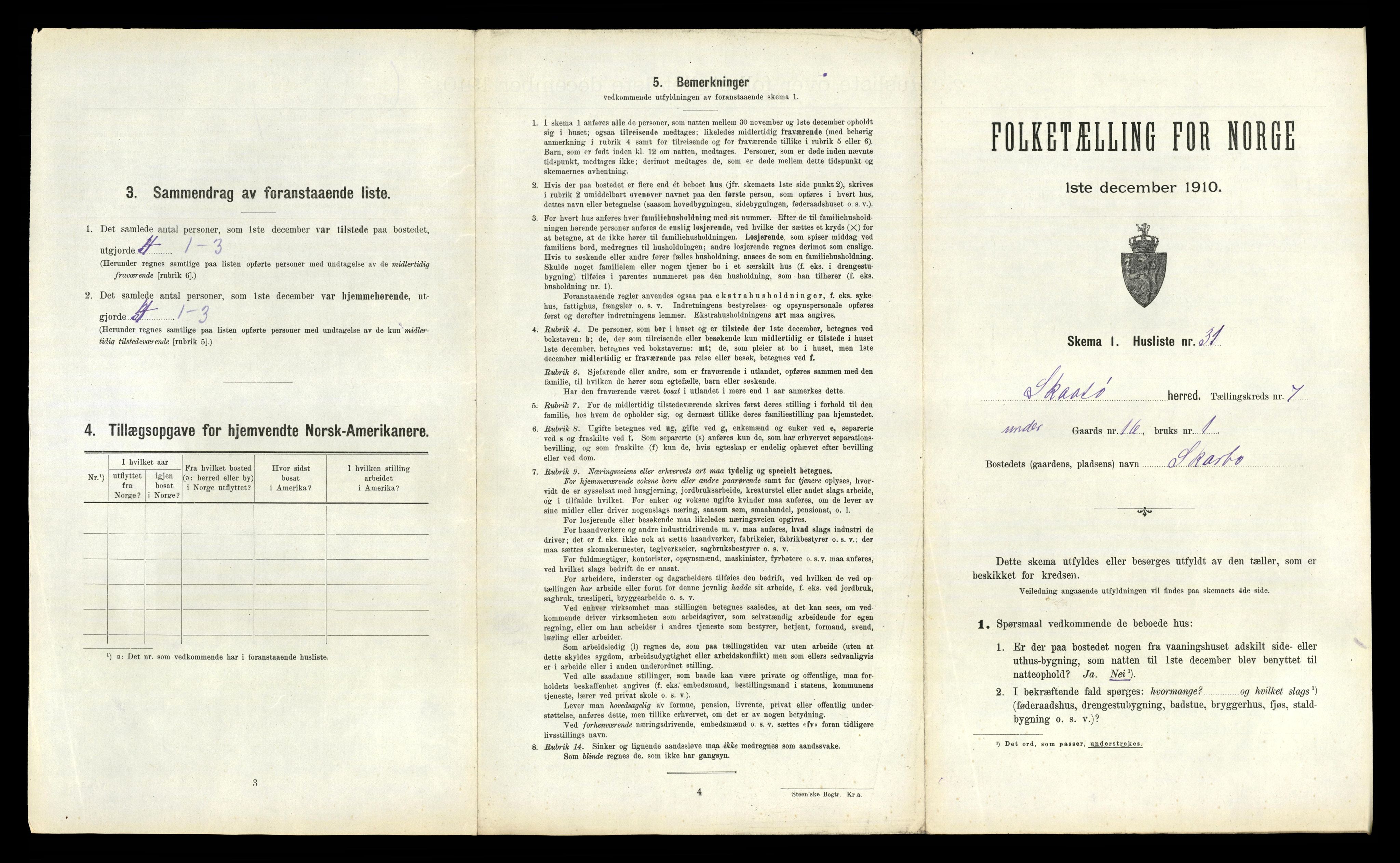 RA, 1910 census for Skåtøy, 1910, p. 917