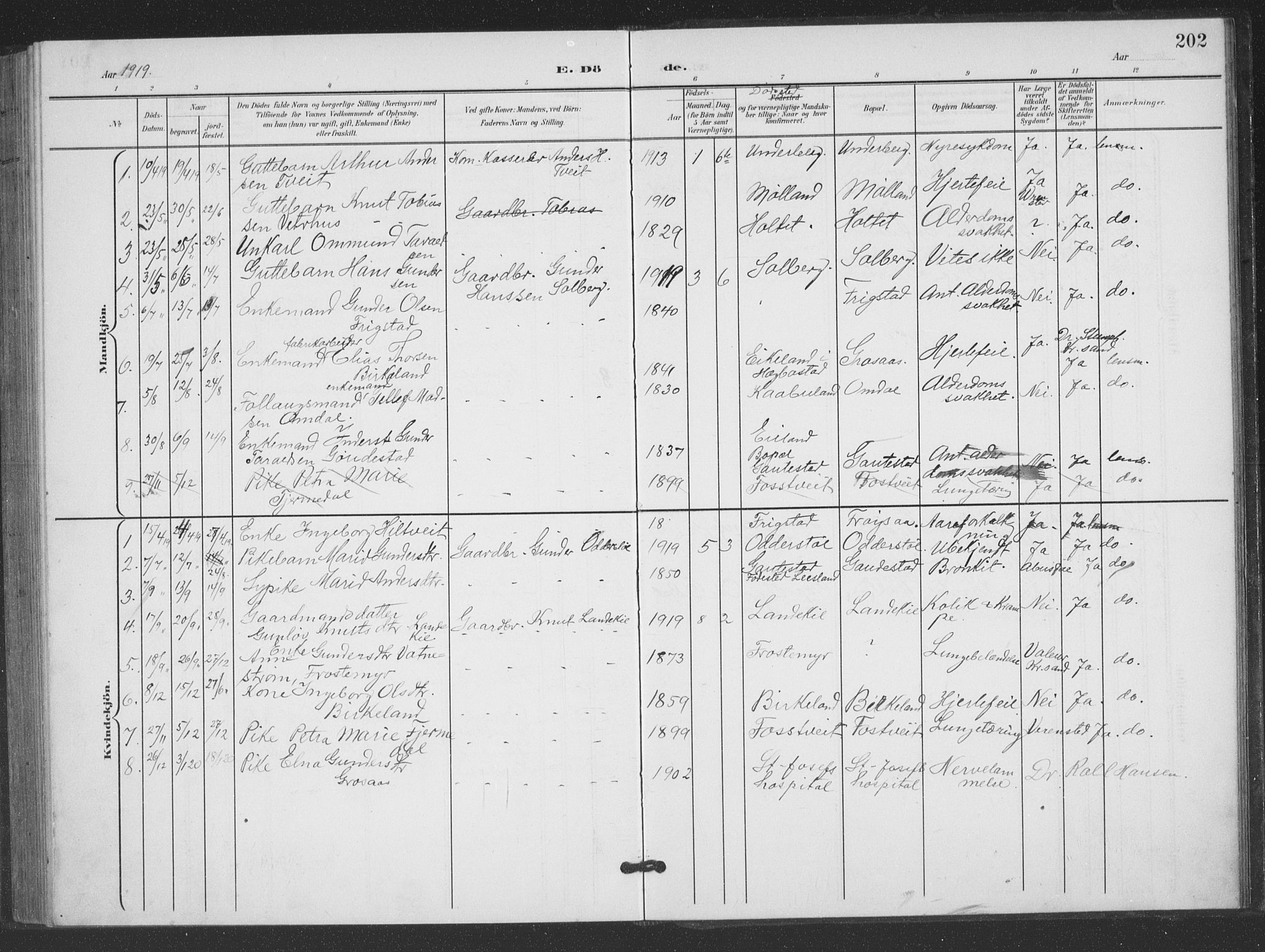 Evje sokneprestkontor, SAK/1111-0008/F/Fb/Fbc/L0005: Parish register (copy) no. B 5, 1901-1935, p. 202