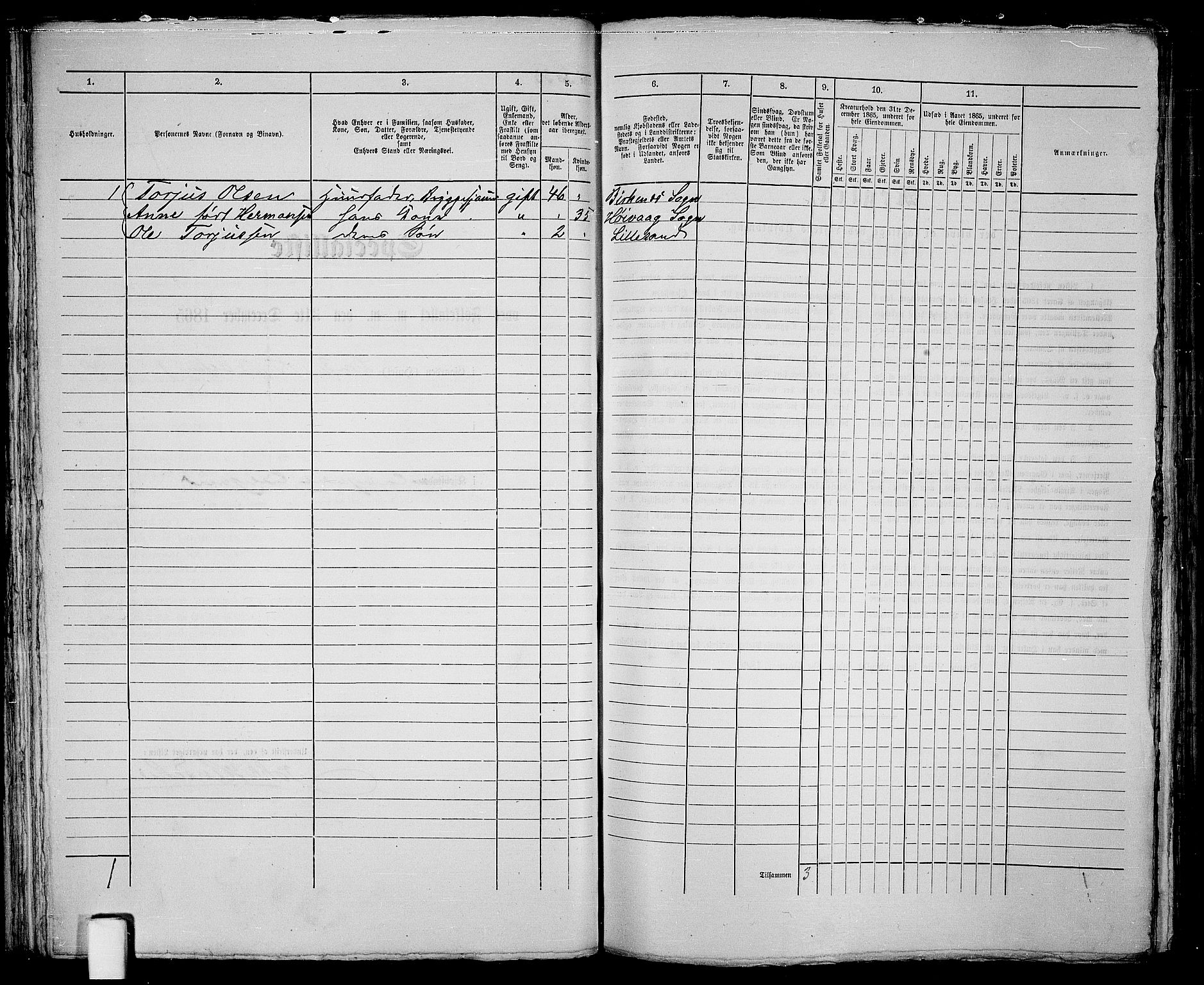 RA, 1865 census for Vestre Moland/Lillesand, 1865, p. 74