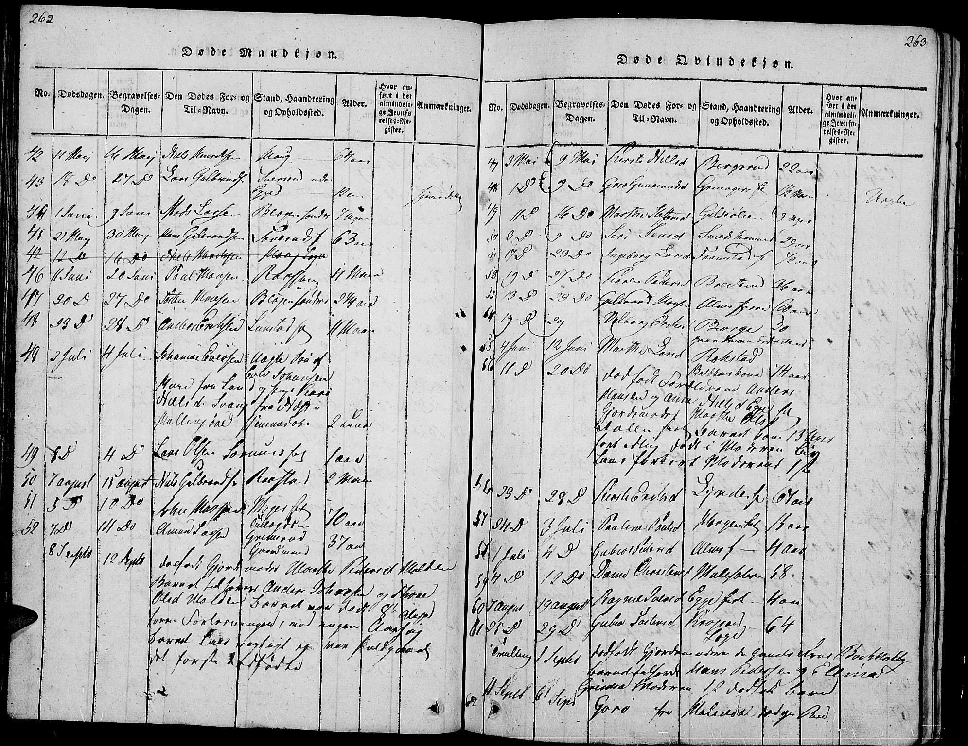 Gran prestekontor, AV/SAH-PREST-112/H/Ha/Hab/L0001: Parish register (copy) no. 1, 1815-1824, p. 262-263