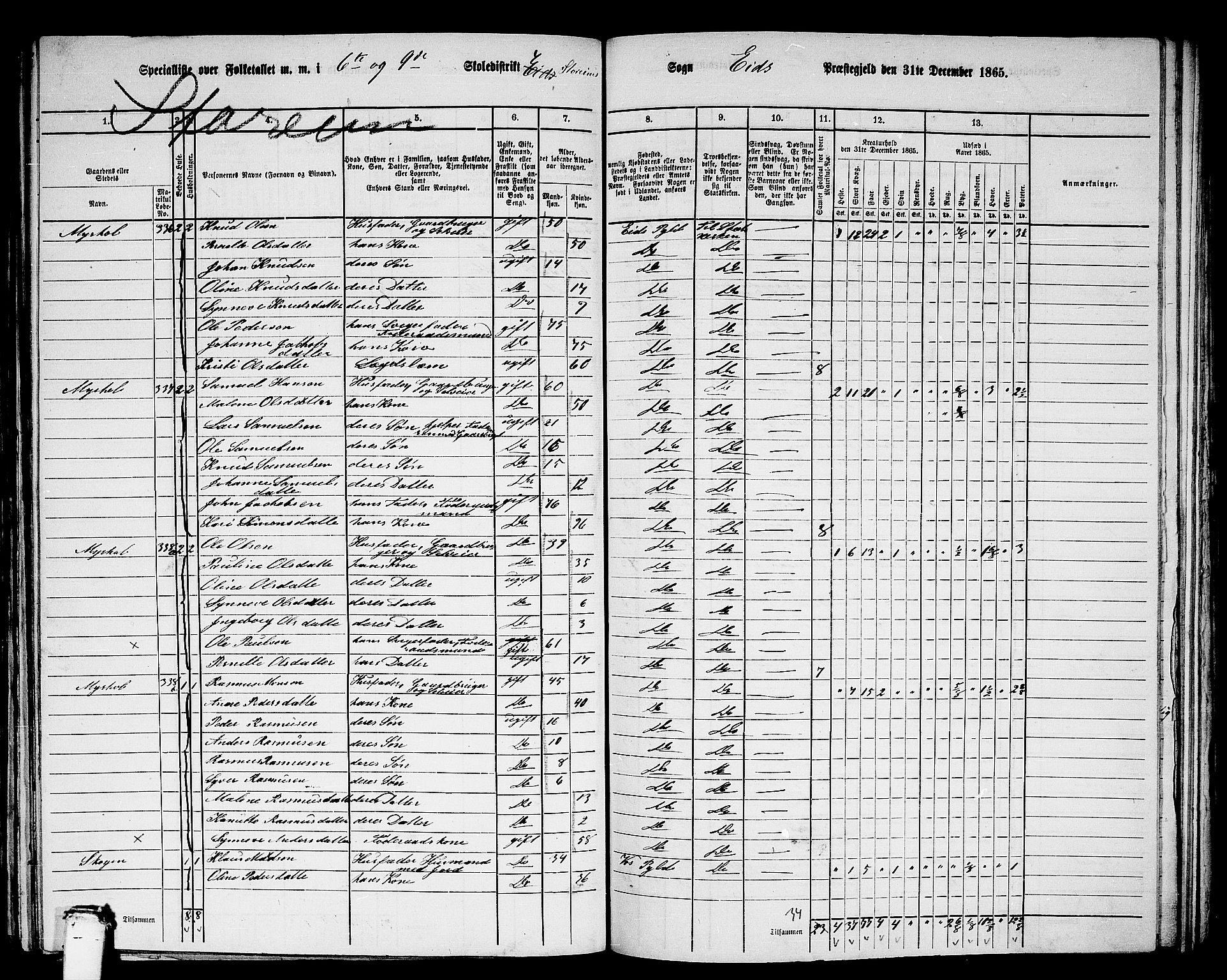 RA, 1865 census for Eid, 1865, p. 146