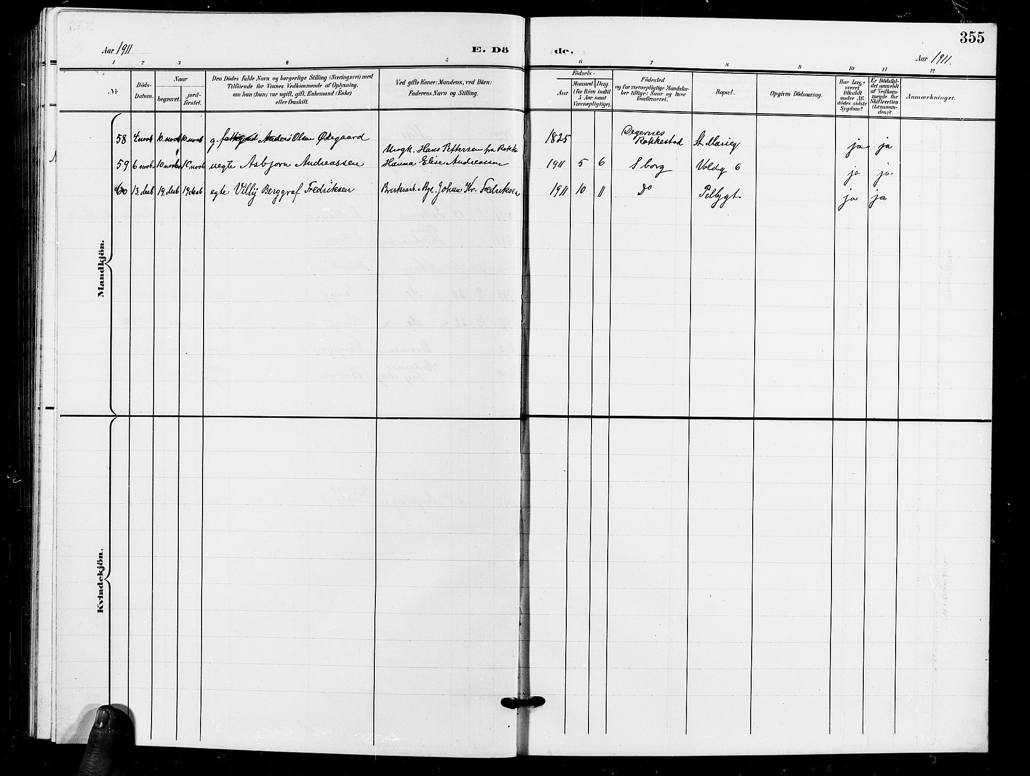 Sarpsborg prestekontor Kirkebøker, AV/SAO-A-2006/G/Ga/L0001: Parish register (copy) no. 1, 1902-1911, p. 355