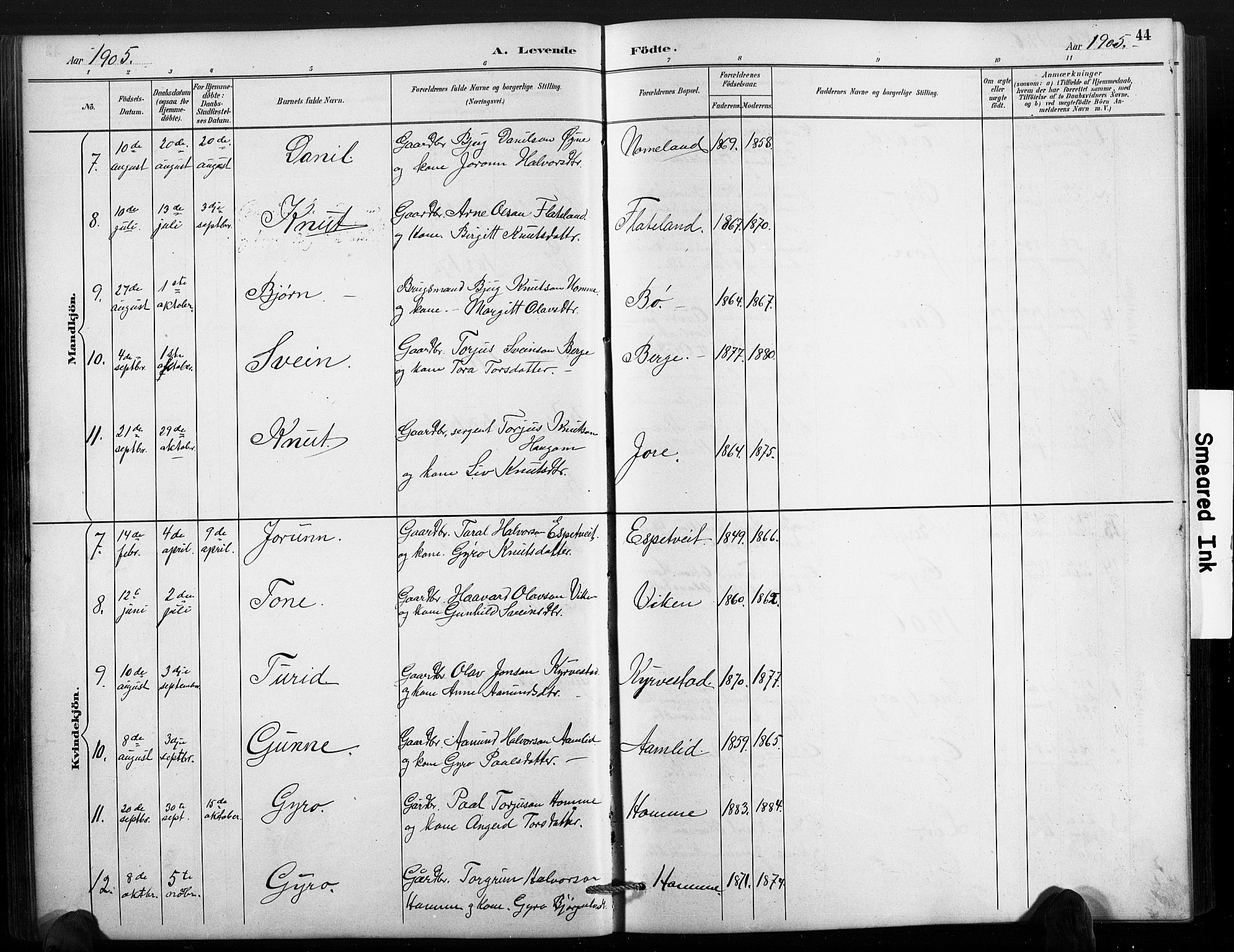 Valle sokneprestkontor, SAK/1111-0044/F/Fb/Fbc/L0004: Parish register (copy) no. B 4, 1890-1928, p. 44