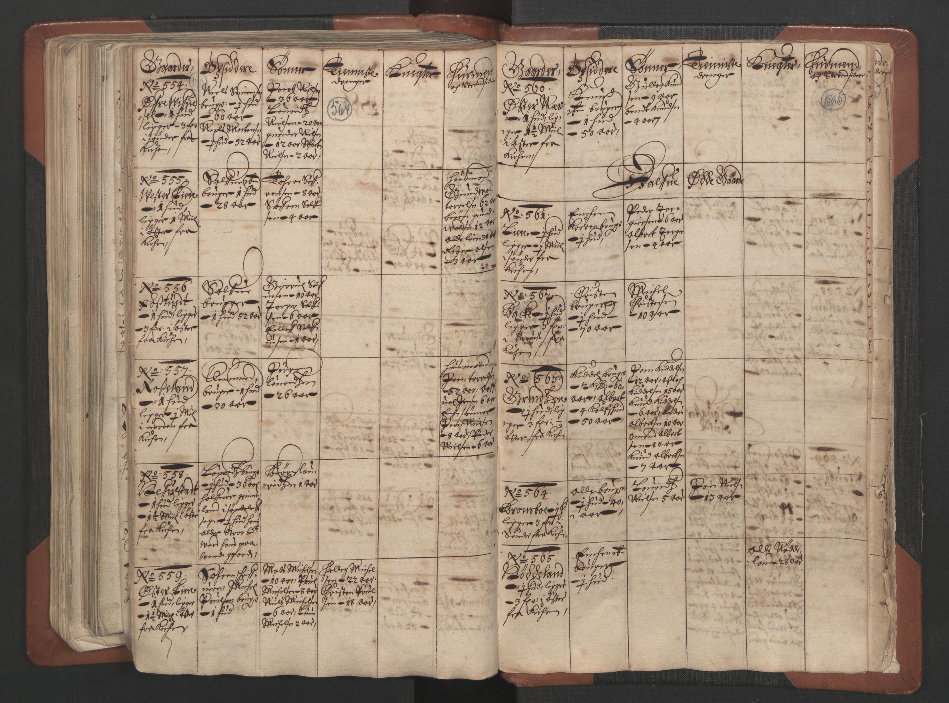 RA, Bailiff's Census 1664-1666, no. 7: Nedenes fogderi, 1664-1666, p. 564-565