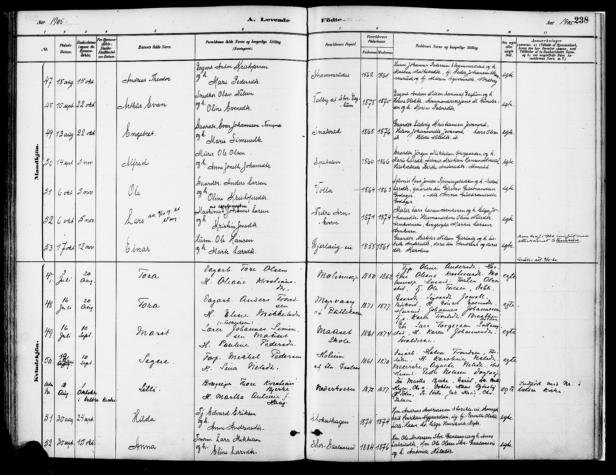 Vang prestekontor, Hedmark, AV/SAH-PREST-008/H/Ha/Haa/L0018A: Parish register (official) no. 18A, 1880-1906, p. 238