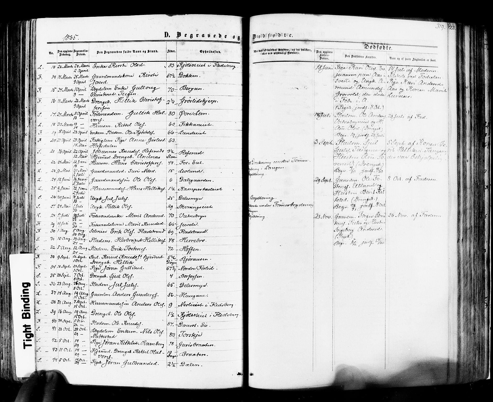 Flesberg kirkebøker, SAKO/A-18/F/Fa/L0007: Parish register (official) no. I 7, 1861-1878, p. 319
