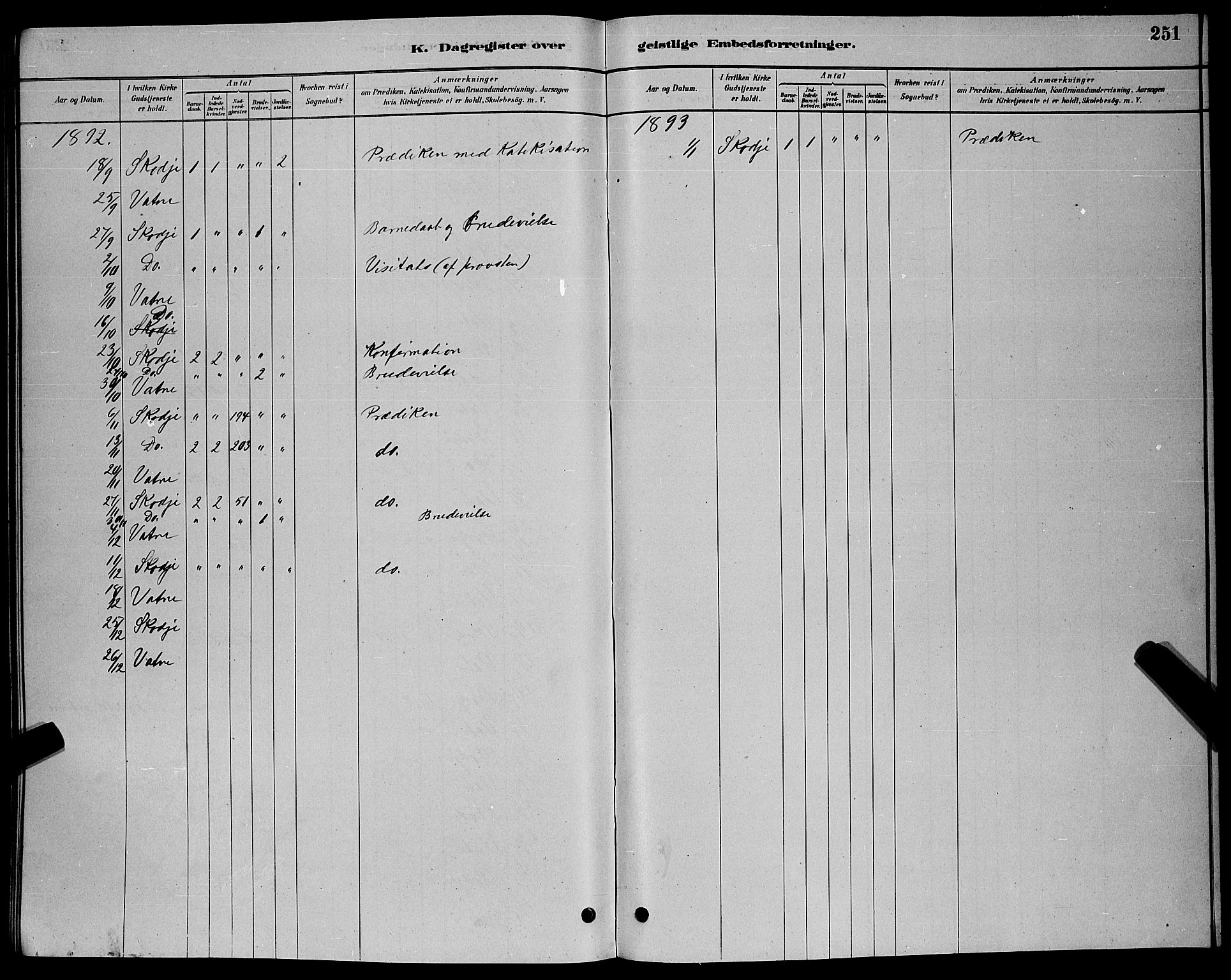 Ministerialprotokoller, klokkerbøker og fødselsregistre - Møre og Romsdal, AV/SAT-A-1454/524/L0365: Parish register (copy) no. 524C06, 1880-1899, p. 251