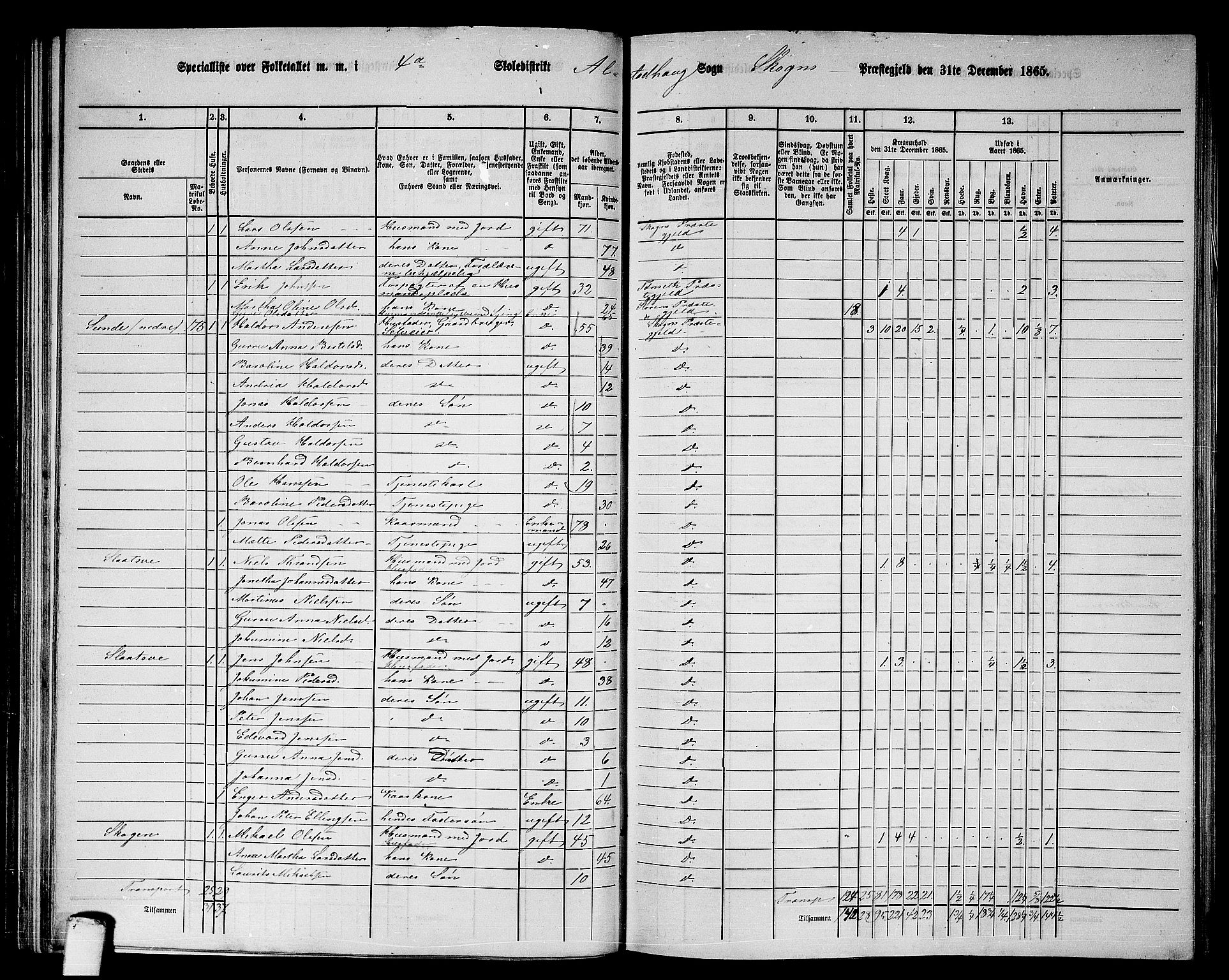 RA, 1865 census for Skogn, 1865, p. 101