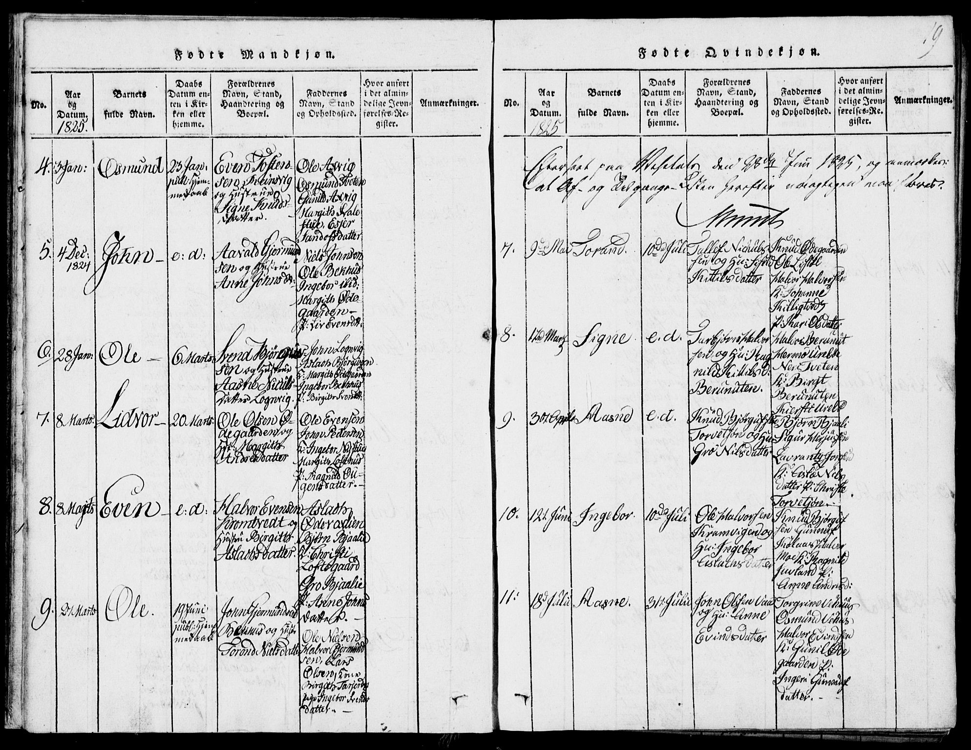 Rauland kirkebøker, SAKO/A-292/G/Ga/L0001: Parish register (copy) no. I 1, 1814-1843, p. 19