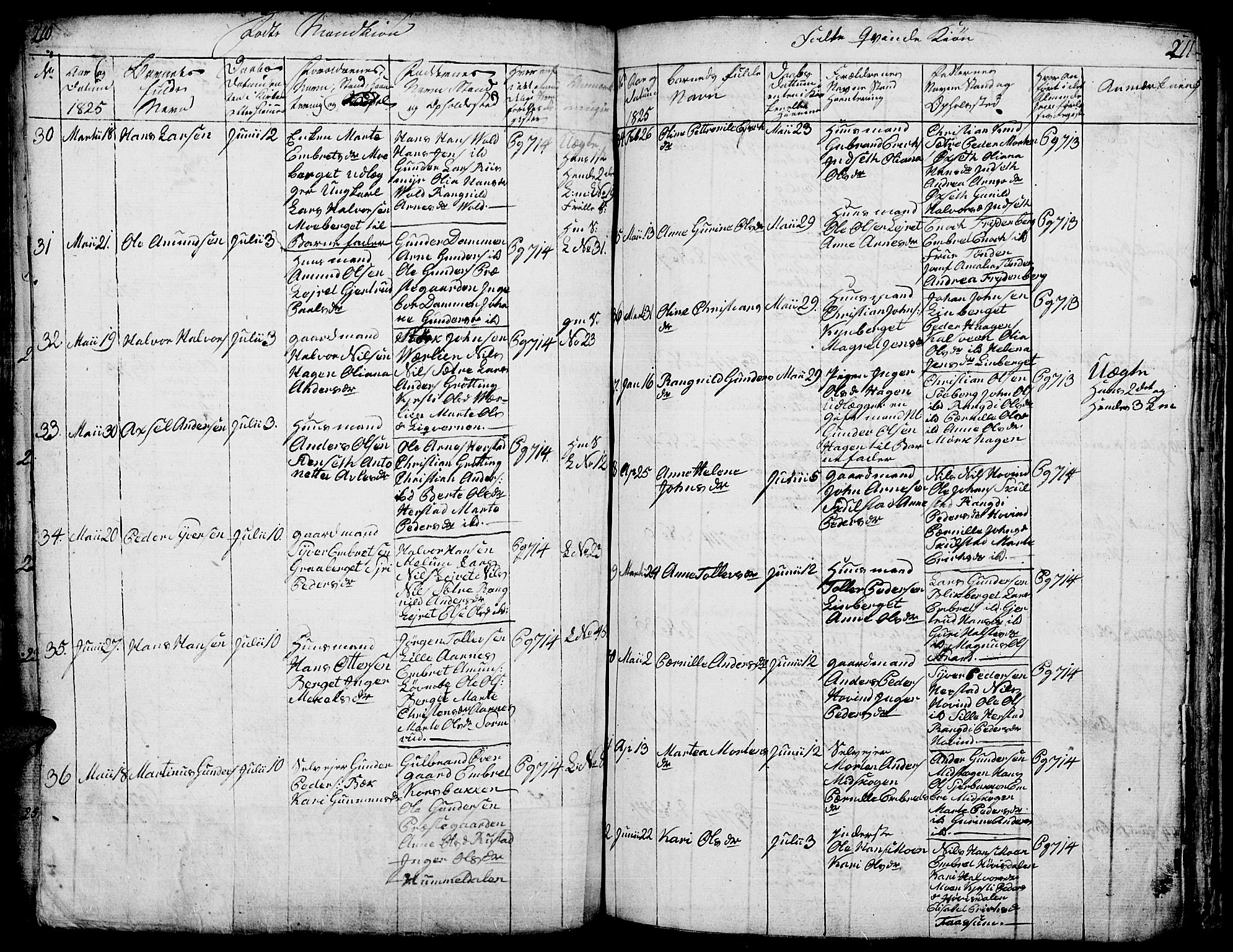 Elverum prestekontor, AV/SAH-PREST-044/H/Ha/Hab/L0001: Parish register (copy) no. 1, 1815-1829, p. 210-211