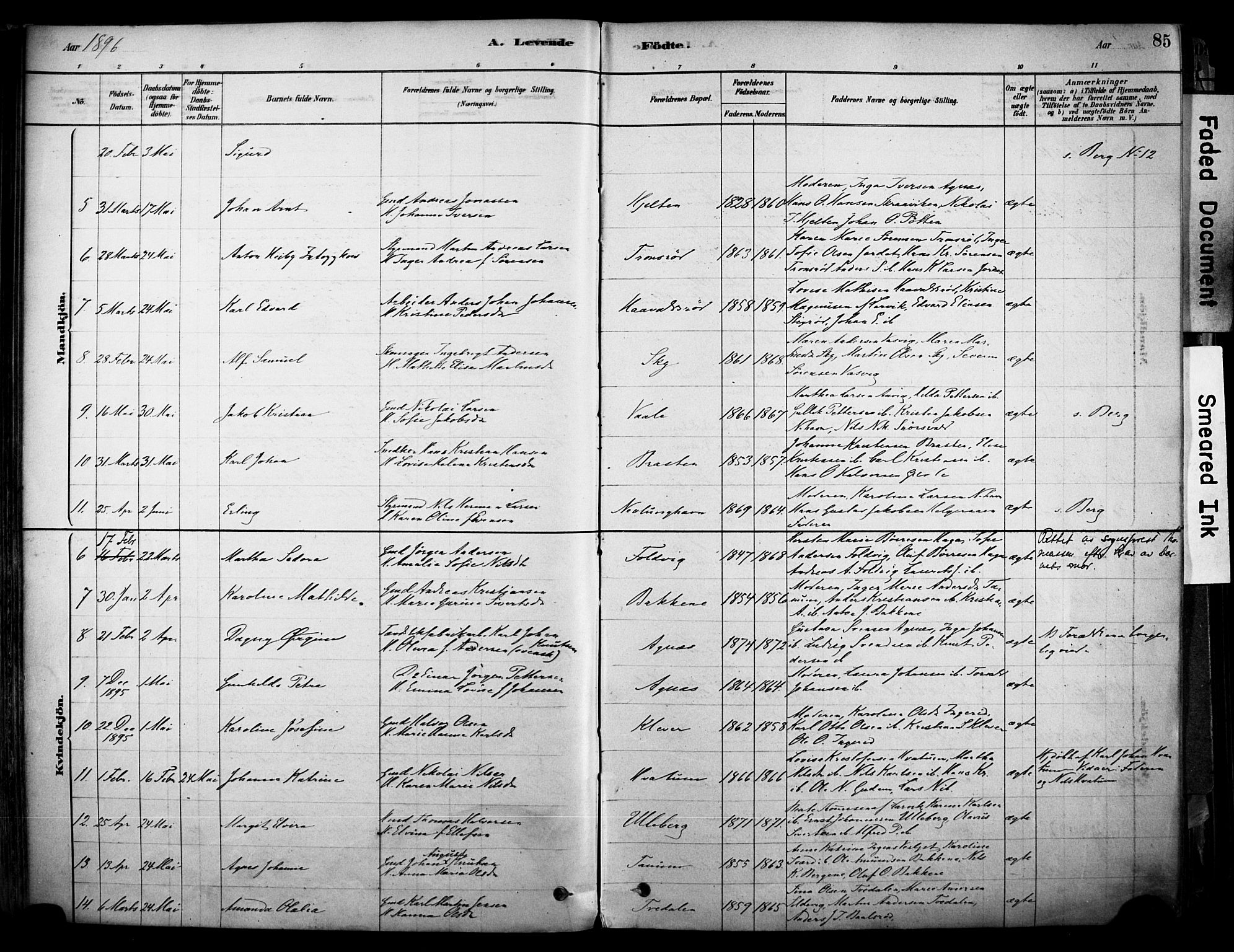 Brunlanes kirkebøker, AV/SAKO-A-342/F/Fc/L0001: Parish register (official) no. III 1, 1878-1899, p. 85