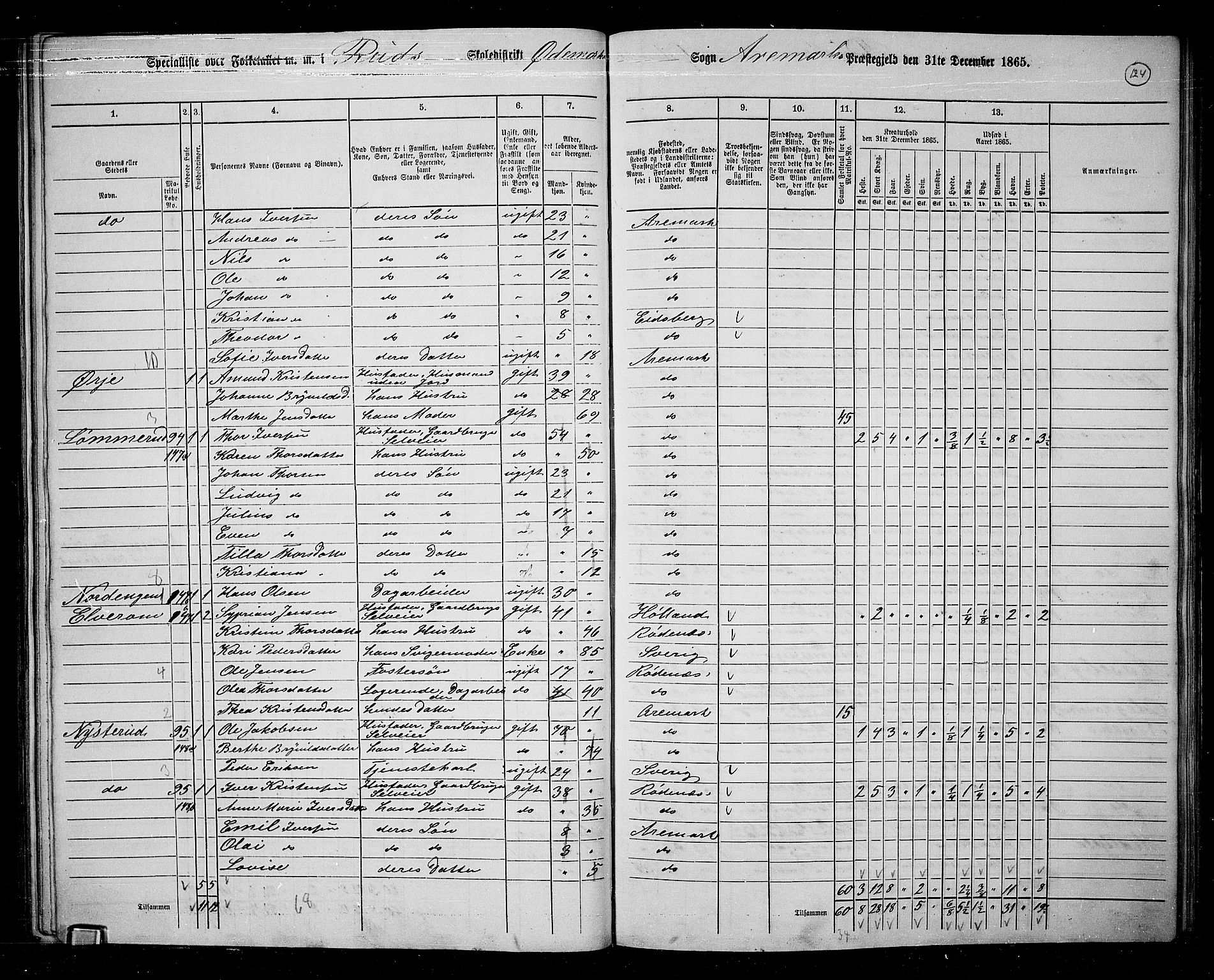 RA, 1865 census for Aremark, 1865, p. 113