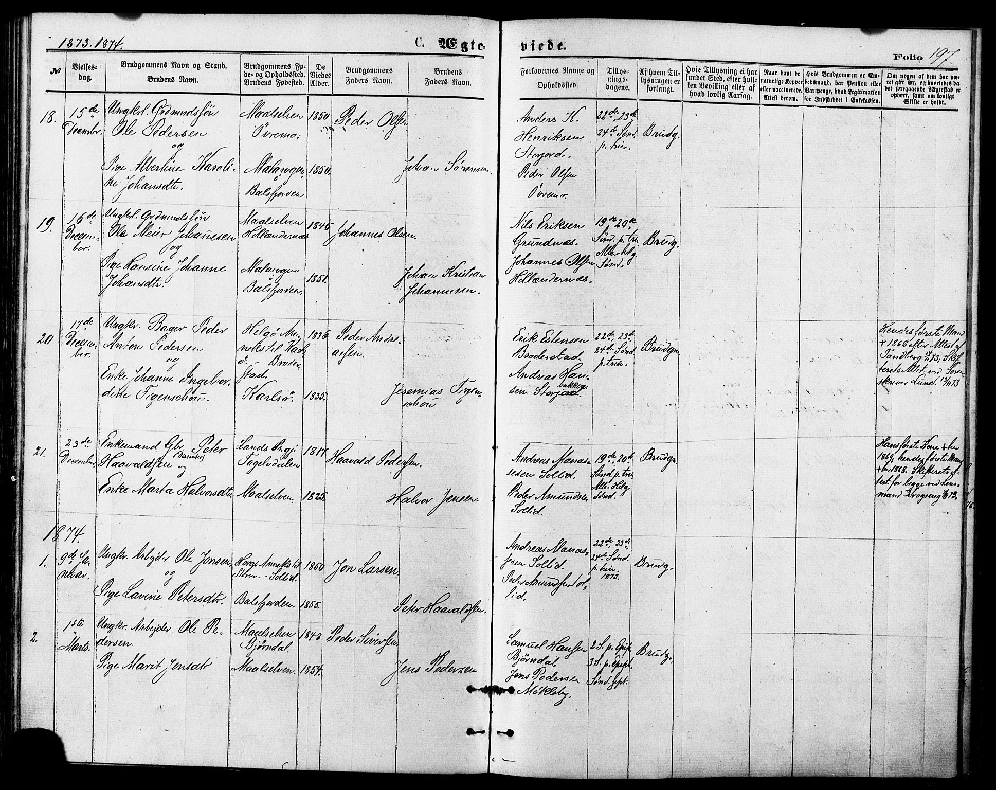 Målselv sokneprestembete, SATØ/S-1311/G/Ga/Gaa/L0005kirke: Parish register (official) no. 5, 1872-1884, p. 197