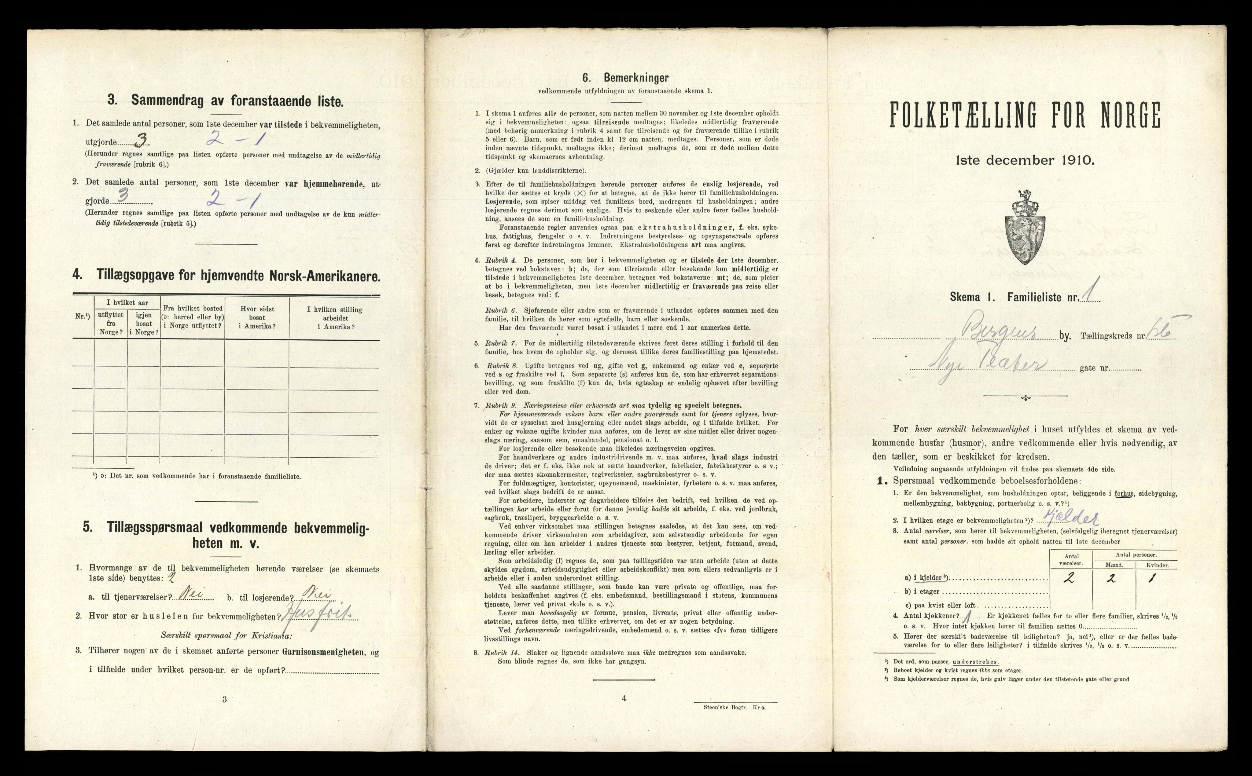 RA, 1910 census for Bergen, 1910, p. 19691