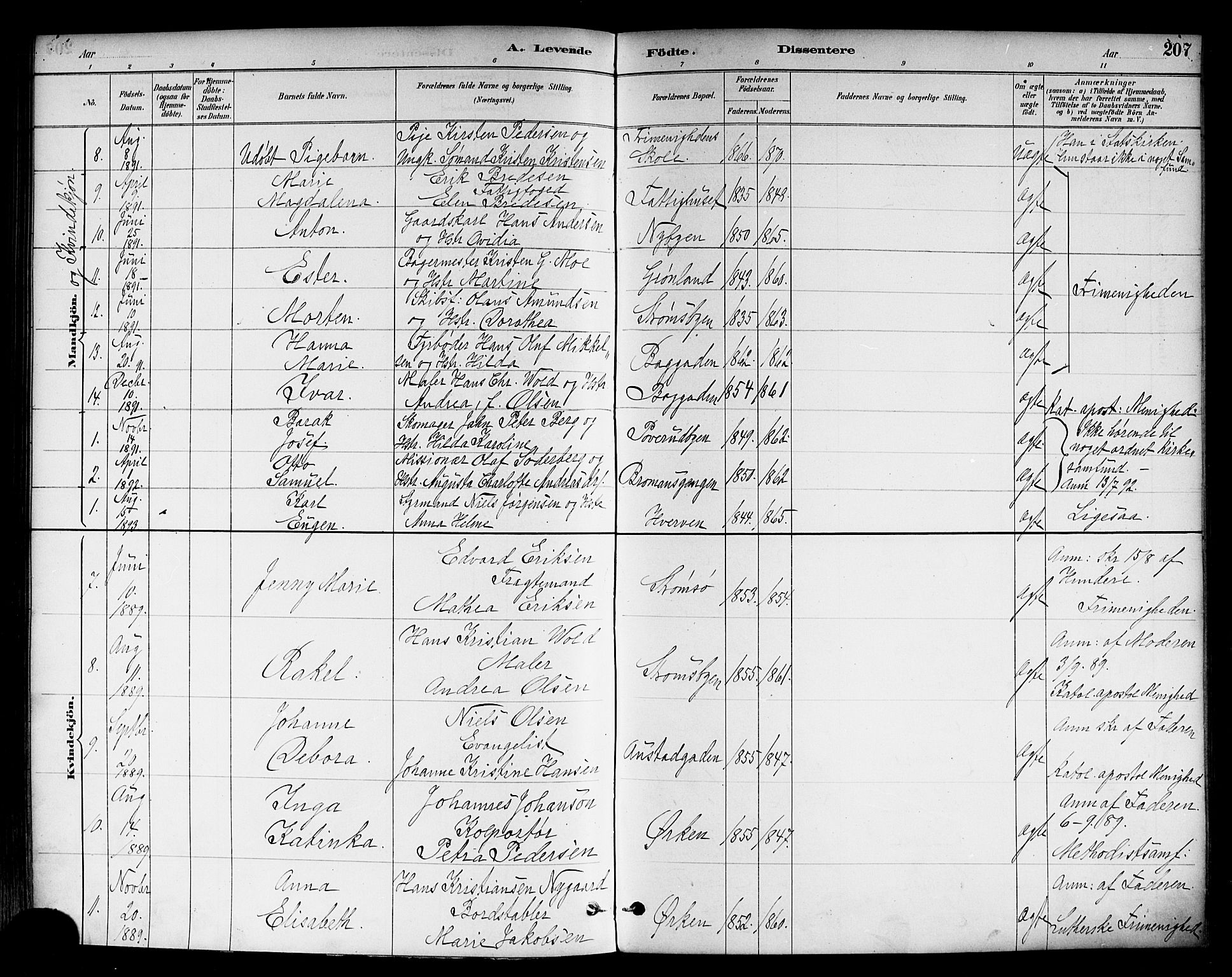 Strømsø kirkebøker, AV/SAKO-A-246/F/Fa/L0023: Parish register (official) no. I 23, 1885-1894, p. 207