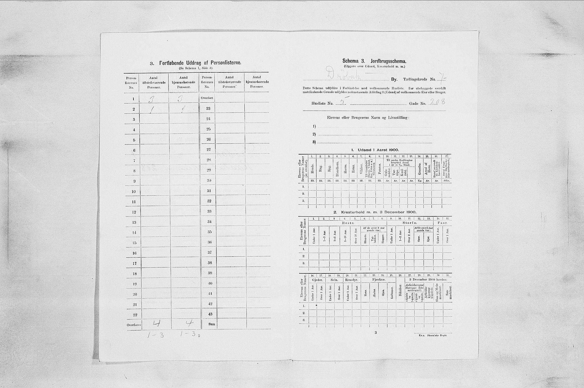 SAO, 1900 census for Drøbak, 1900