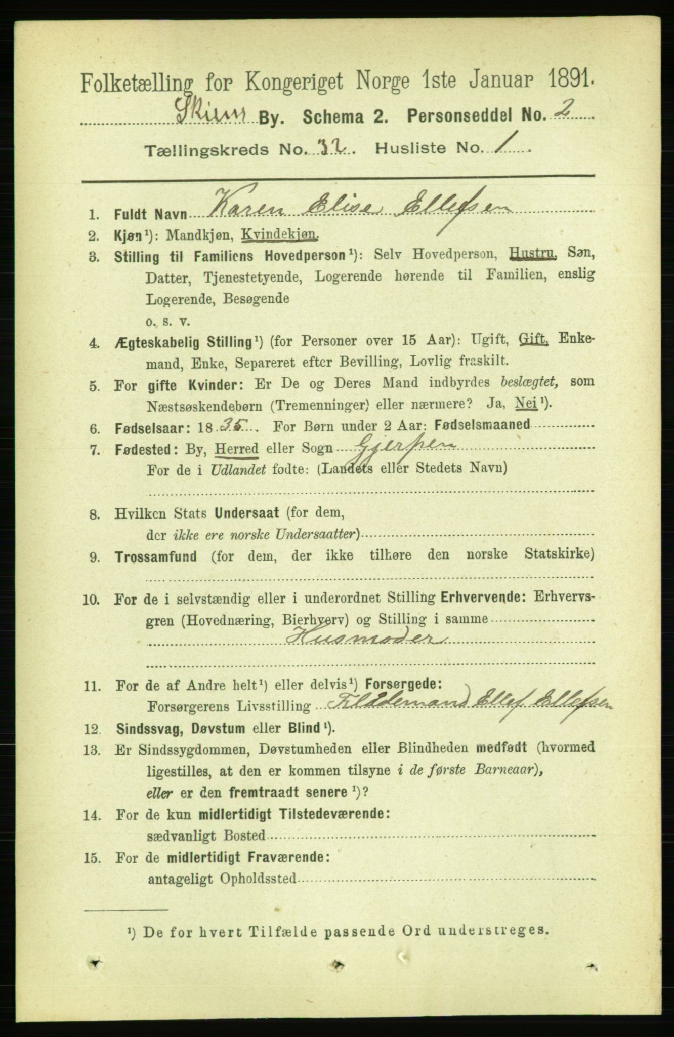 RA, 1891 census for 0806 Skien, 1891, p. 7209