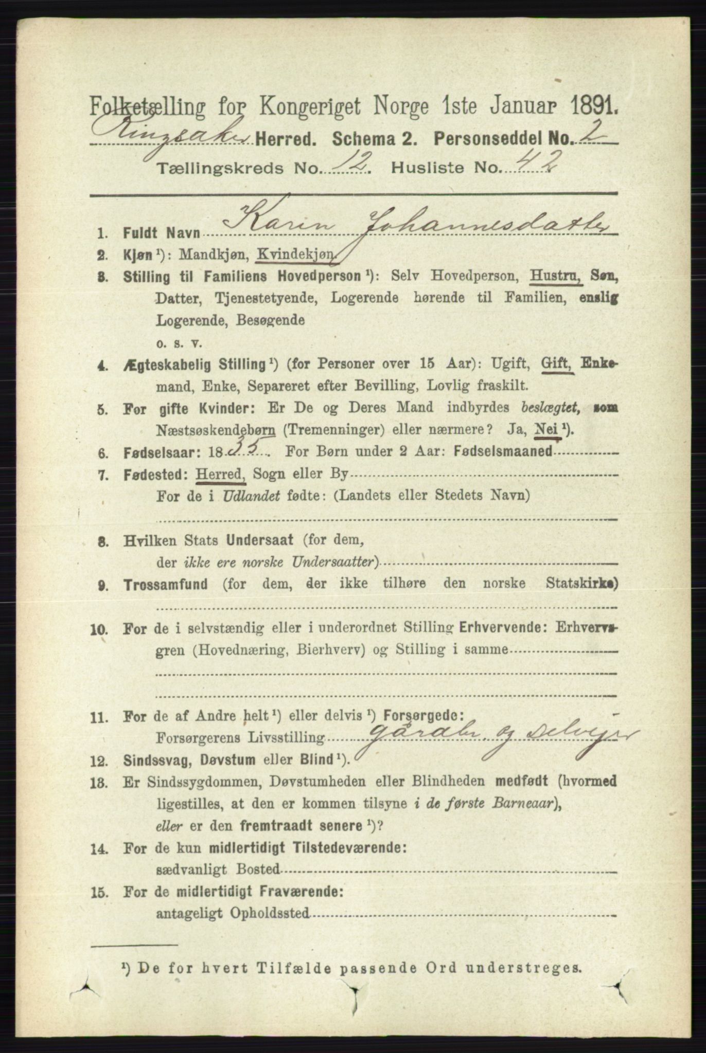 RA, 1891 census for 0412 Ringsaker, 1891, p. 6979