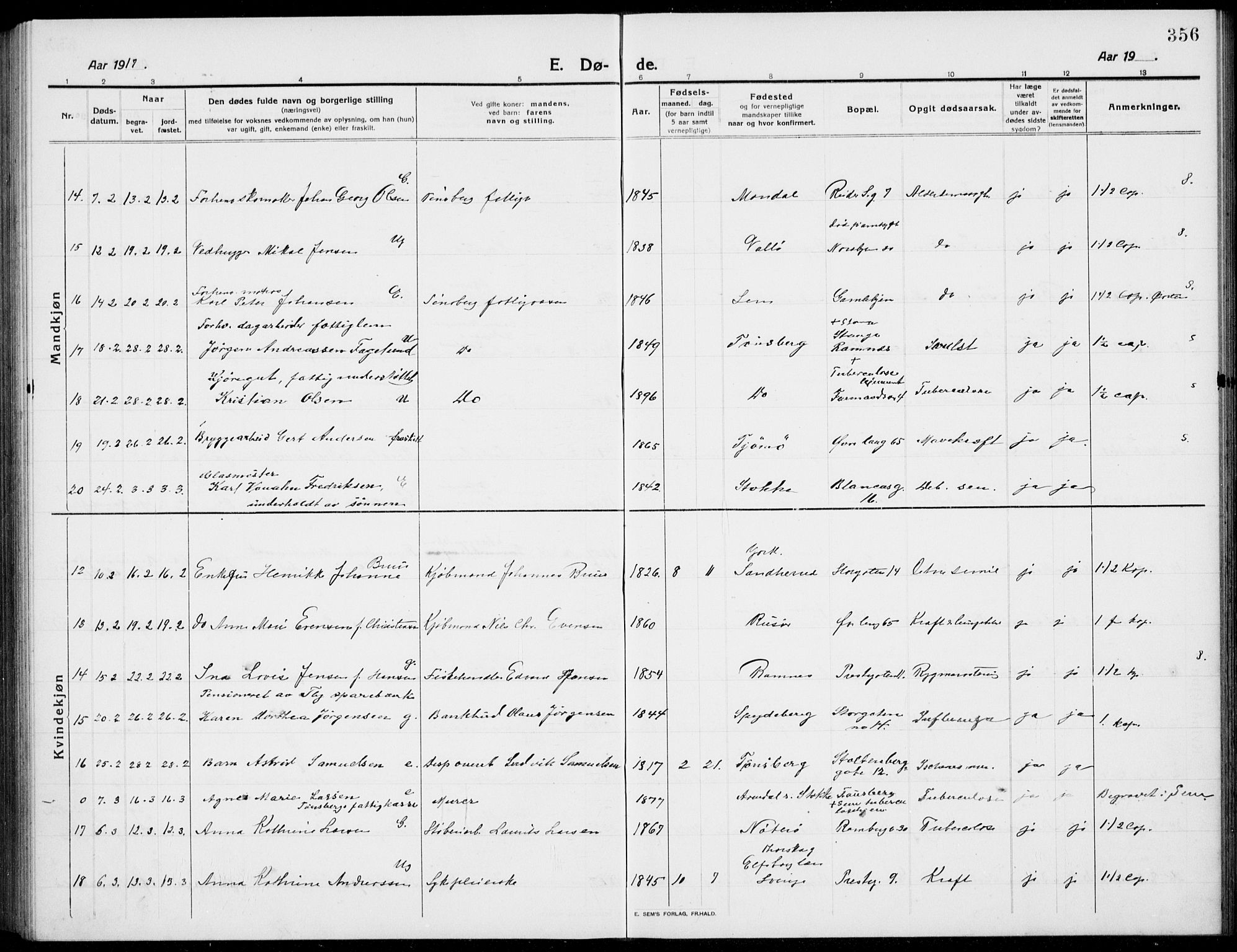 Tønsberg kirkebøker, AV/SAKO-A-330/G/Ga/L0009: Parish register (copy) no. 9, 1913-1920, p. 356