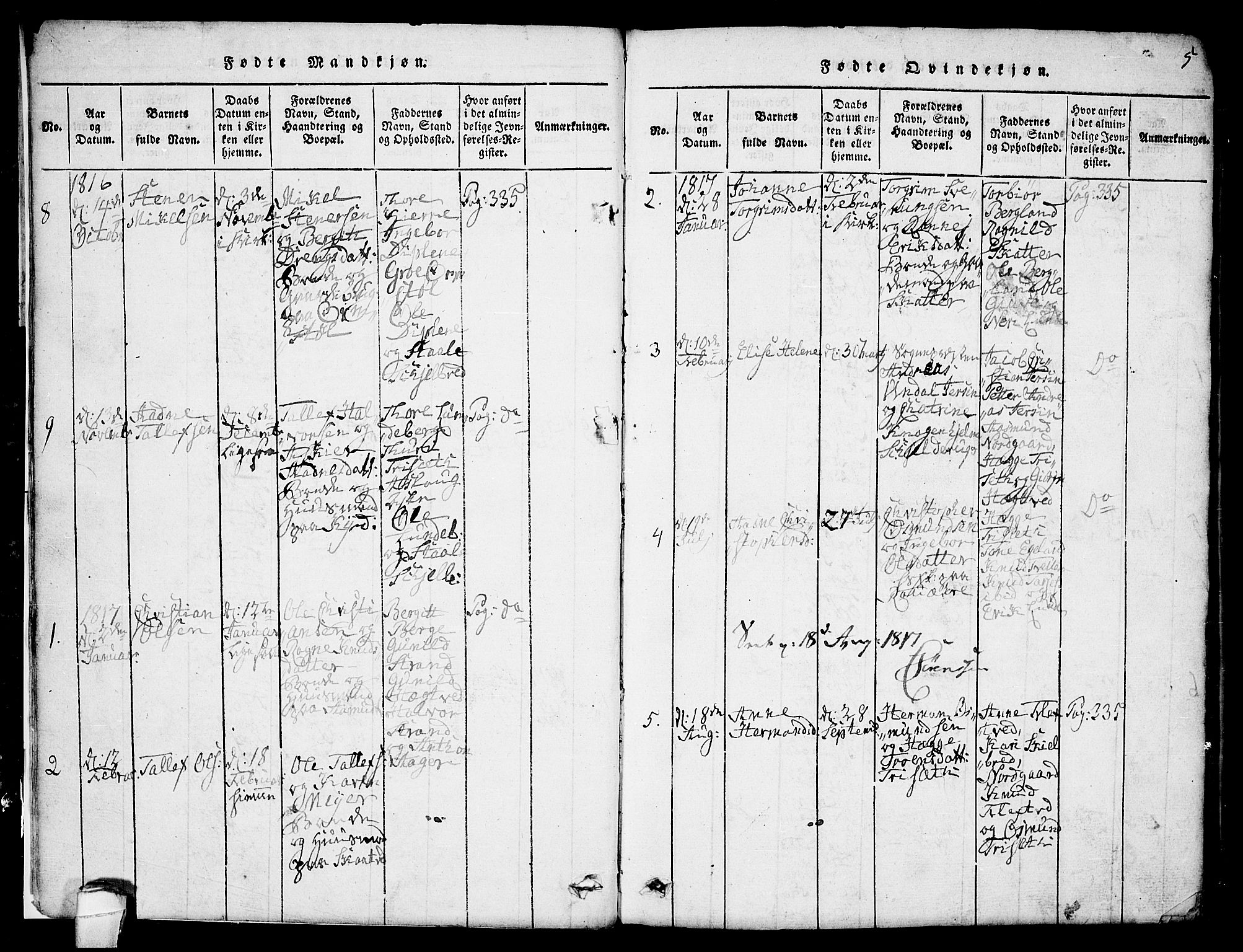Lårdal kirkebøker, SAKO/A-284/G/Ga/L0001: Parish register (copy) no. I 1, 1815-1861, p. 5