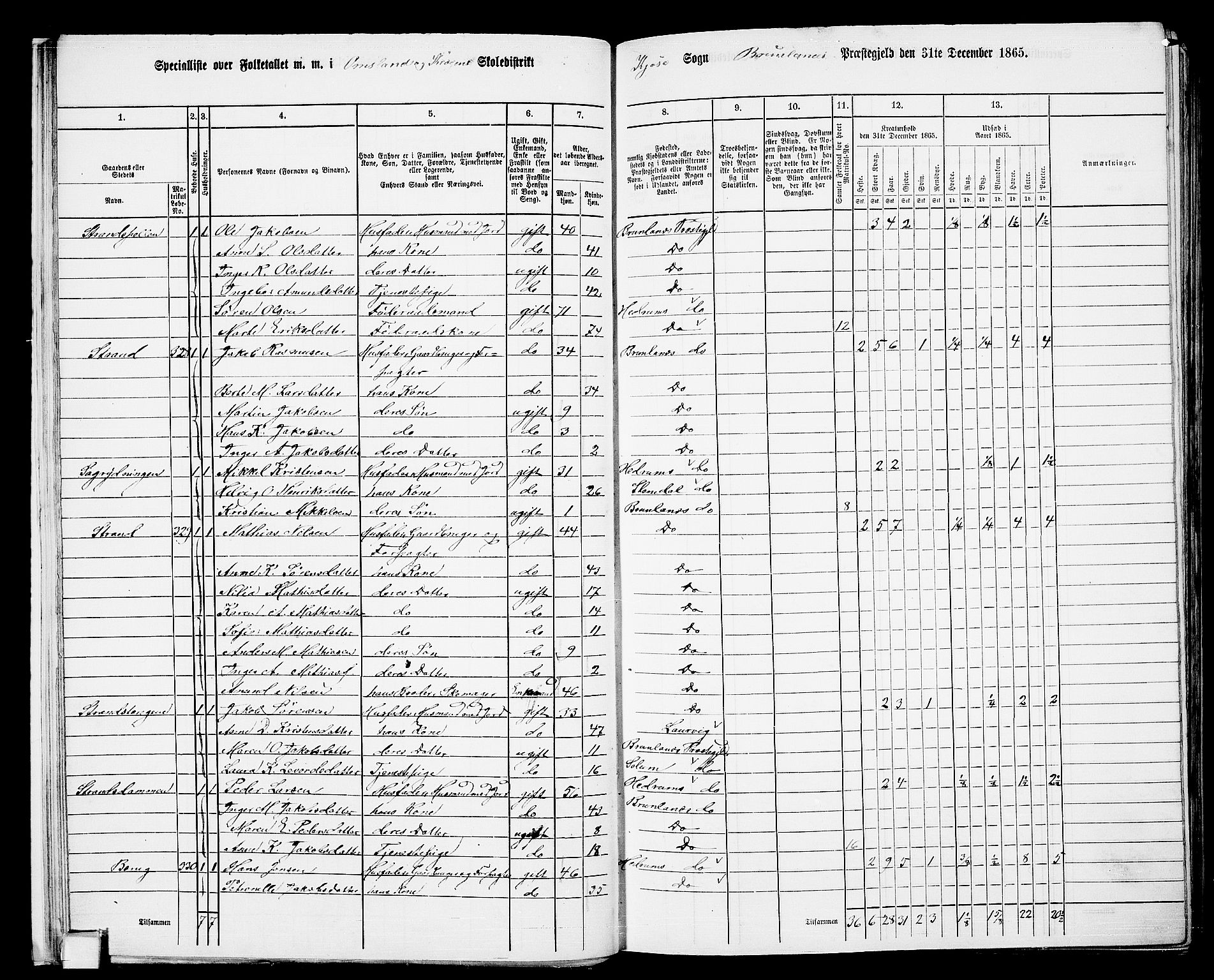 RA, 1865 census for Brunlanes, 1865, p. 23