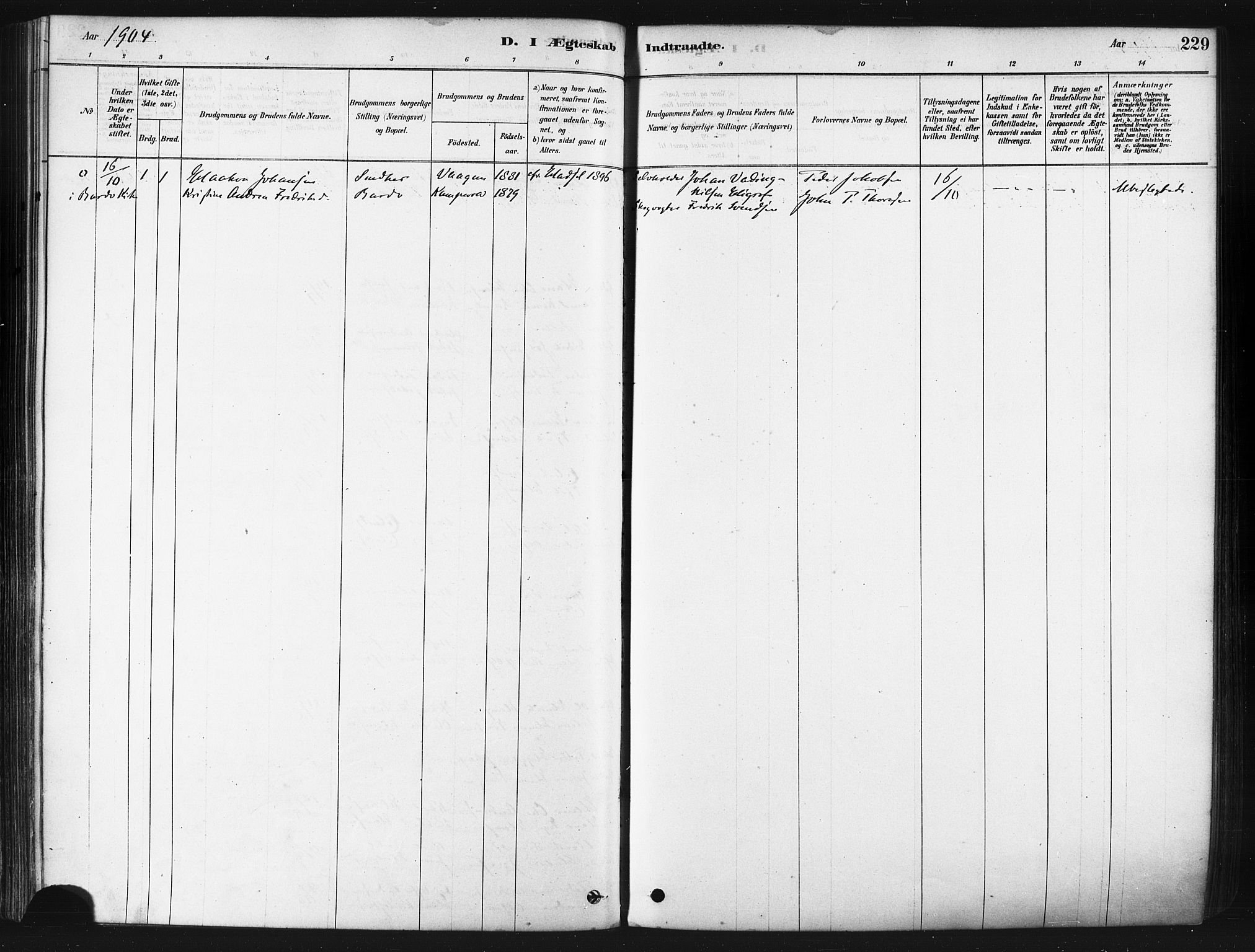 Tranøy sokneprestkontor, SATØ/S-1313/I/Ia/Iaa/L0009kirke: Parish register (official) no. 9, 1878-1904, p. 229