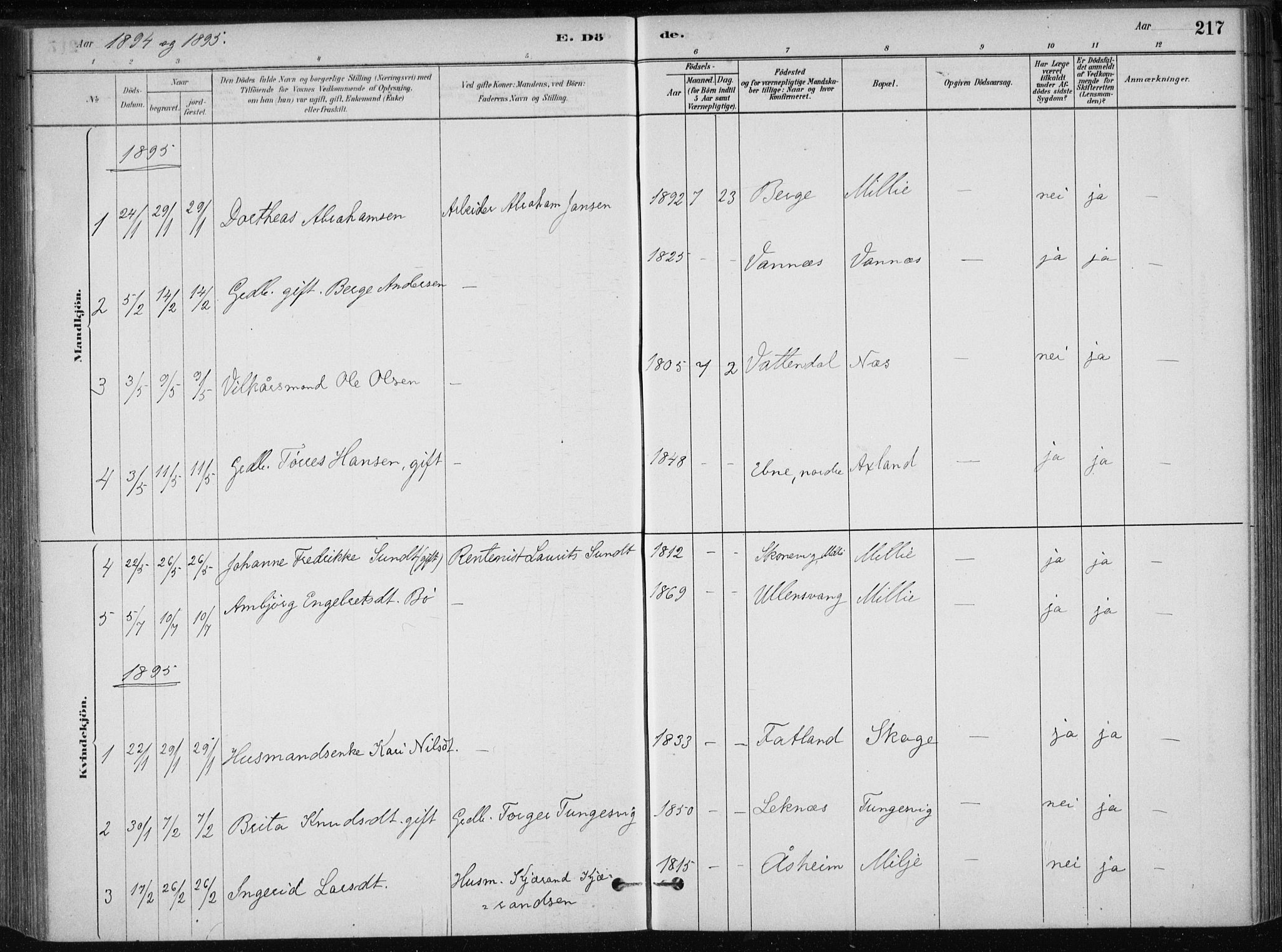 Skånevik sokneprestembete, AV/SAB-A-77801/H/Haa: Parish register (official) no. B 1, 1879-1914, p. 217