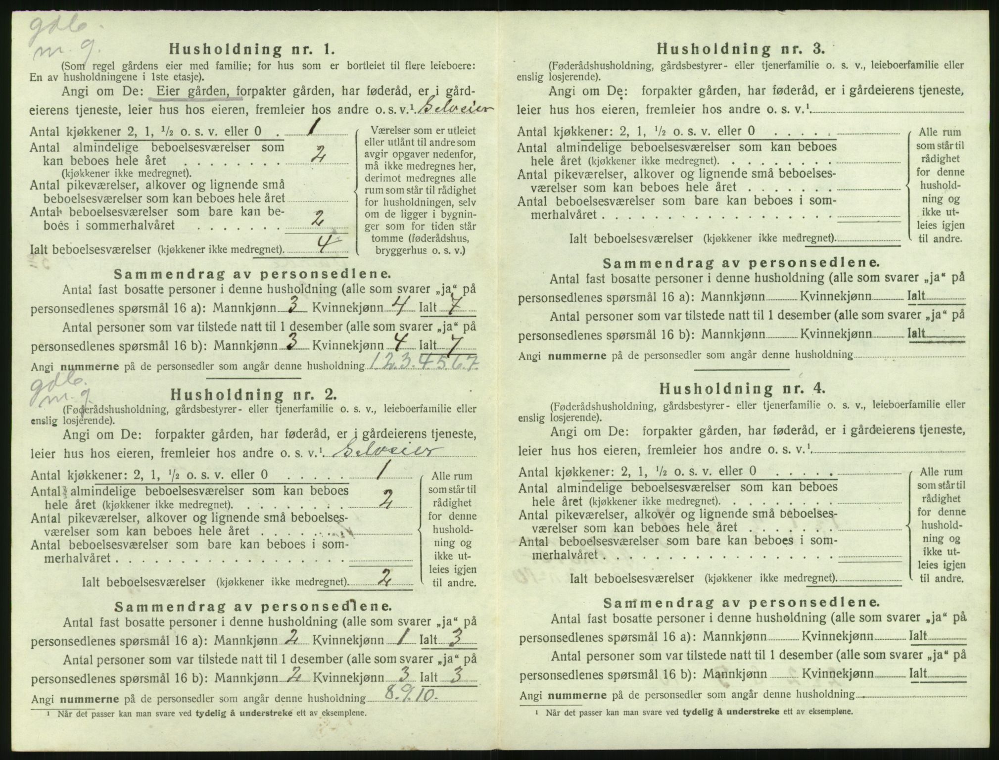 SAT, 1920 census for Sande (MR), 1920, p. 315